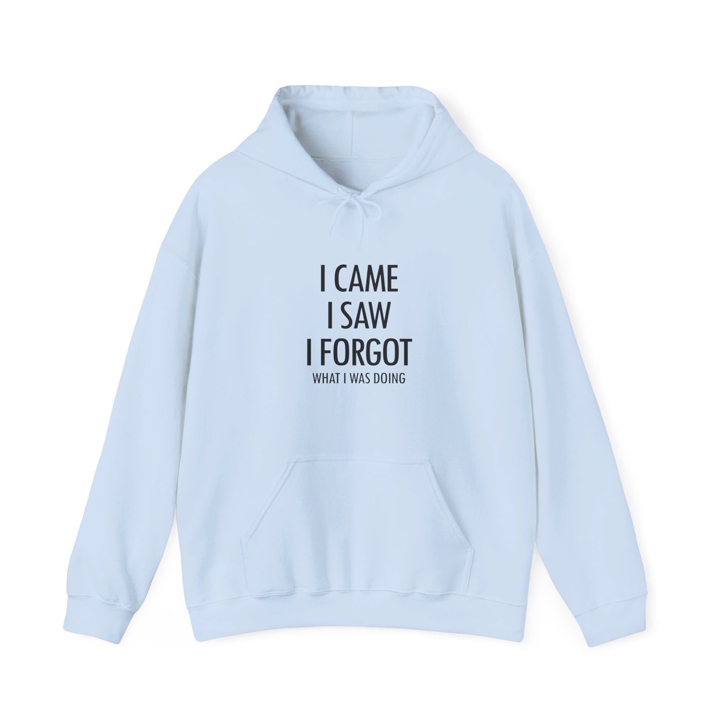 Hoodie I Came I Saw I Forgot Hoodie – Funny ADHD Gift Hoodie