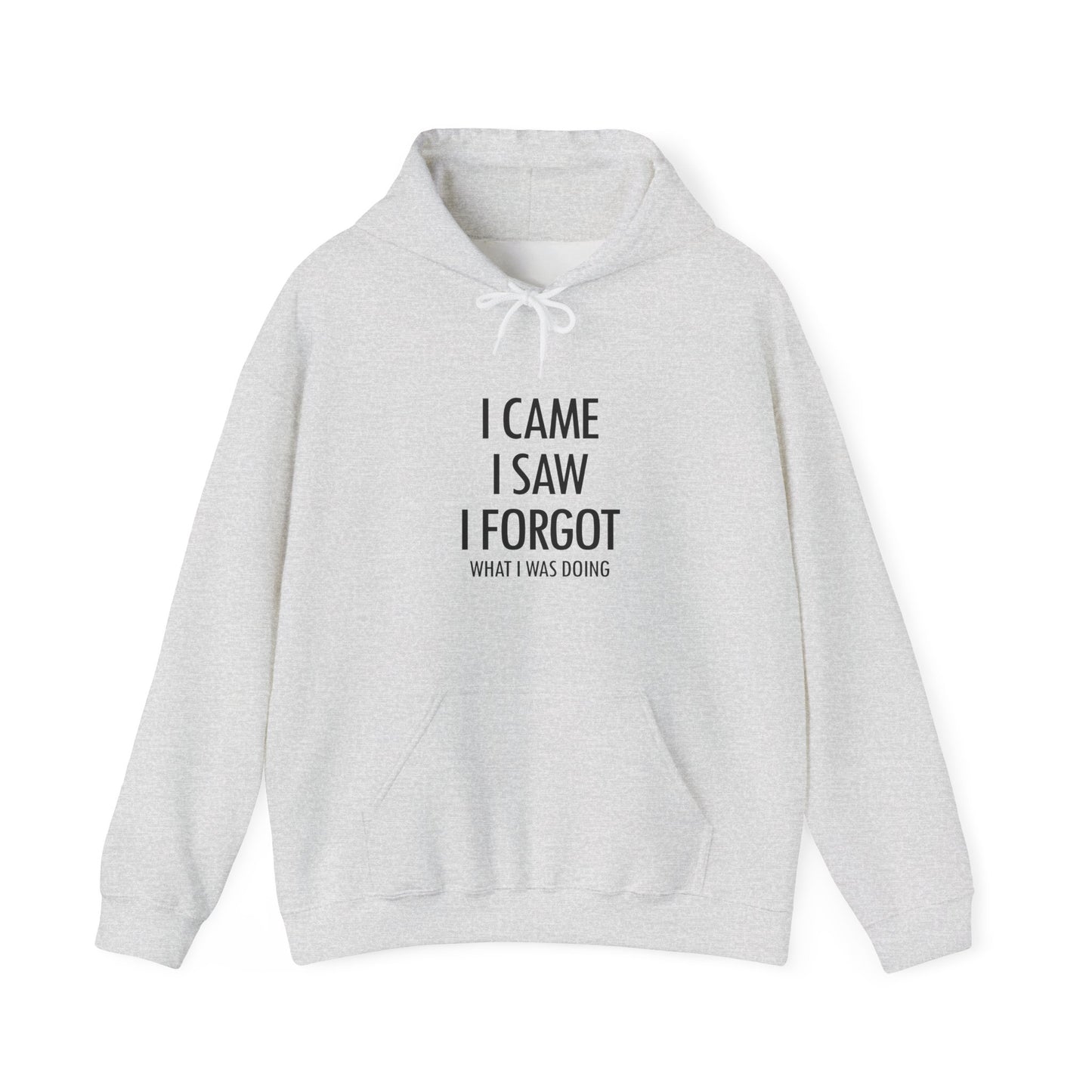 Hoodie I Came I Saw I Forgot Hoodie – Funny ADHD Gift Hoodie