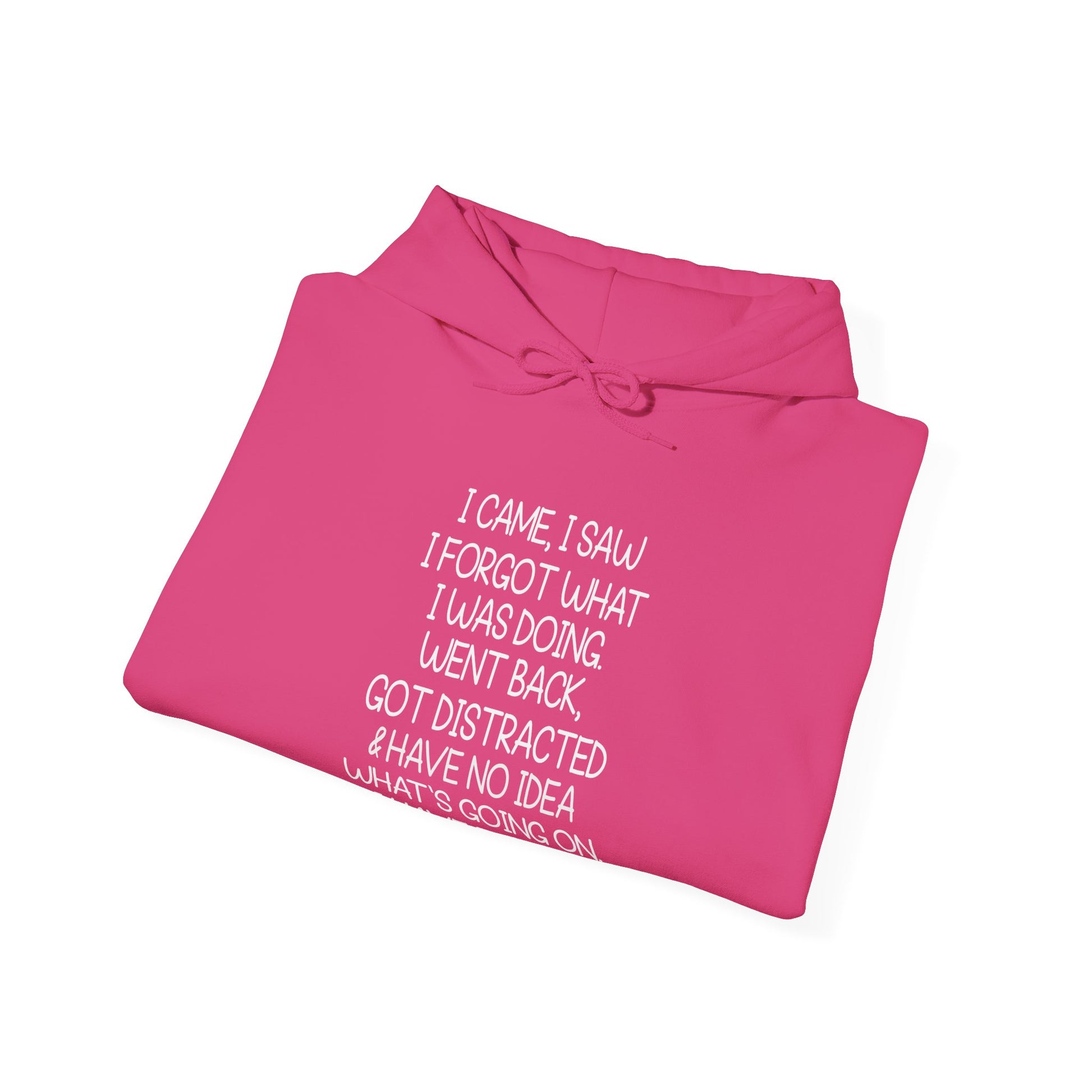 Hoodie I CAME I SAW I FORGOT Hoodie – Funny ADHD Hoodie for Adults
