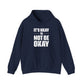 It’s Okay Not to Be Okay – Stay Another Day Hoodie for Women & Men