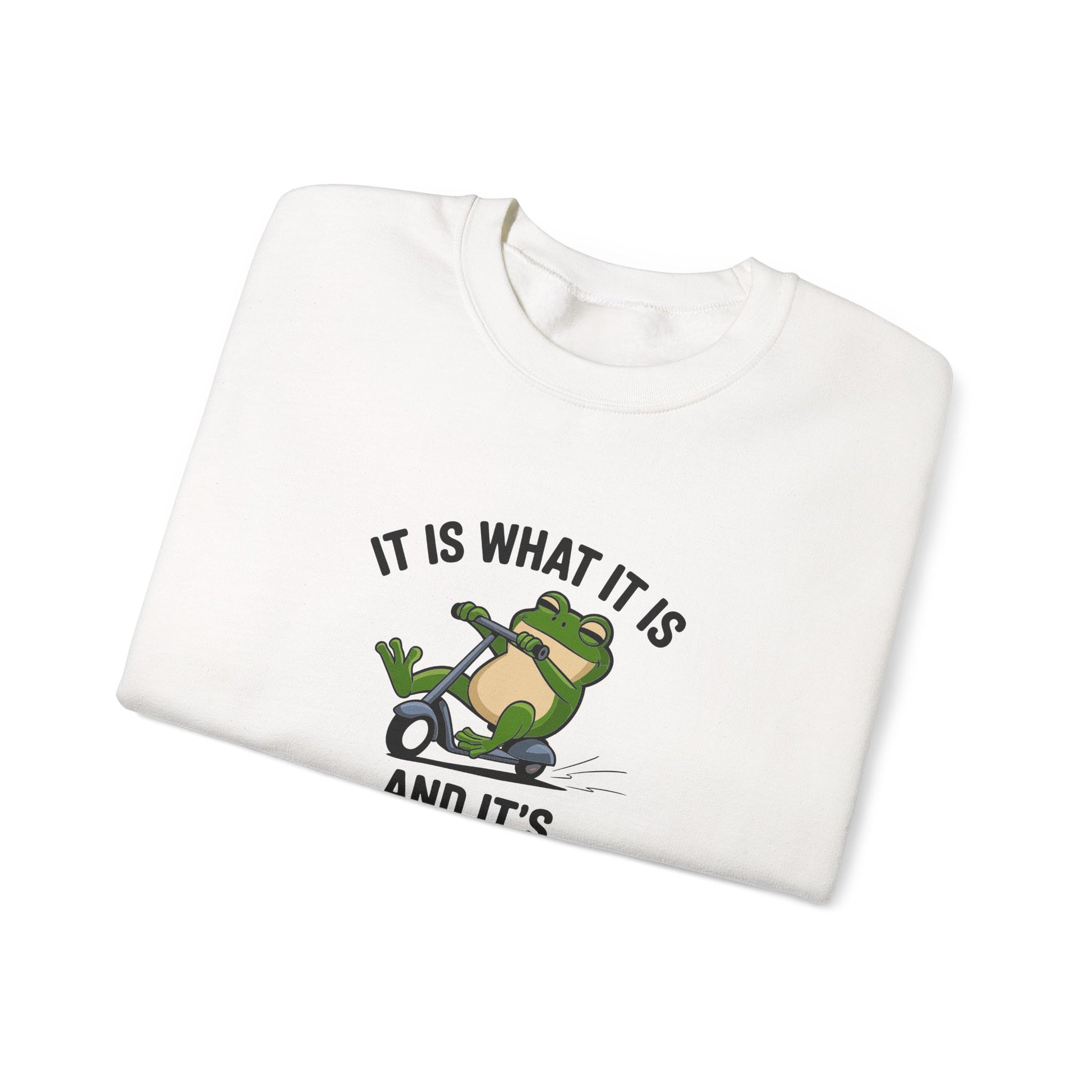 Sweatshirt IT IS WHAT IT IS AND IT'S AUTISM Funny Scooter Autism Sweatshirt
