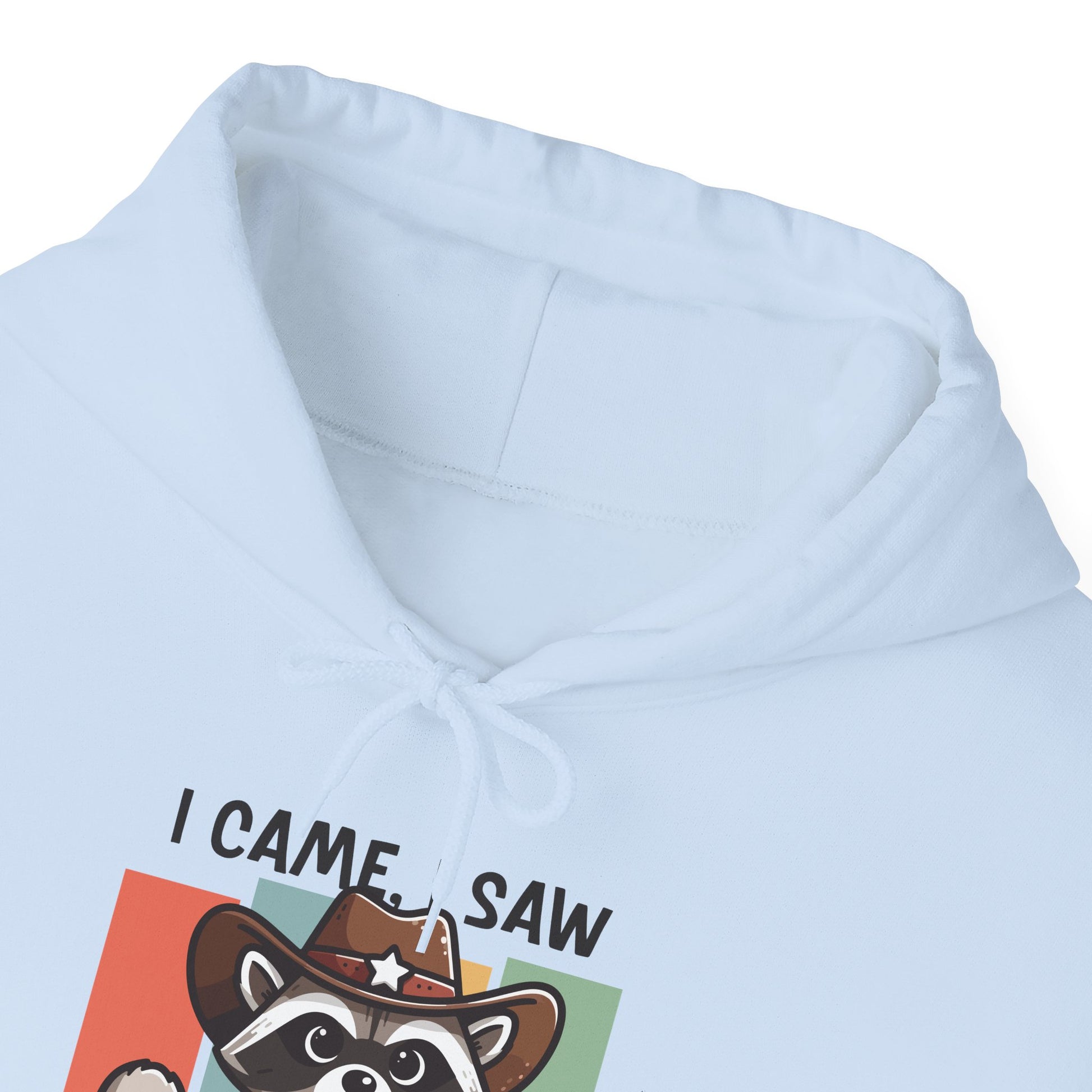 Hoodie I Came I Saw And I Forgot Hoodie – Funny ADHD Raccoon Hoodie