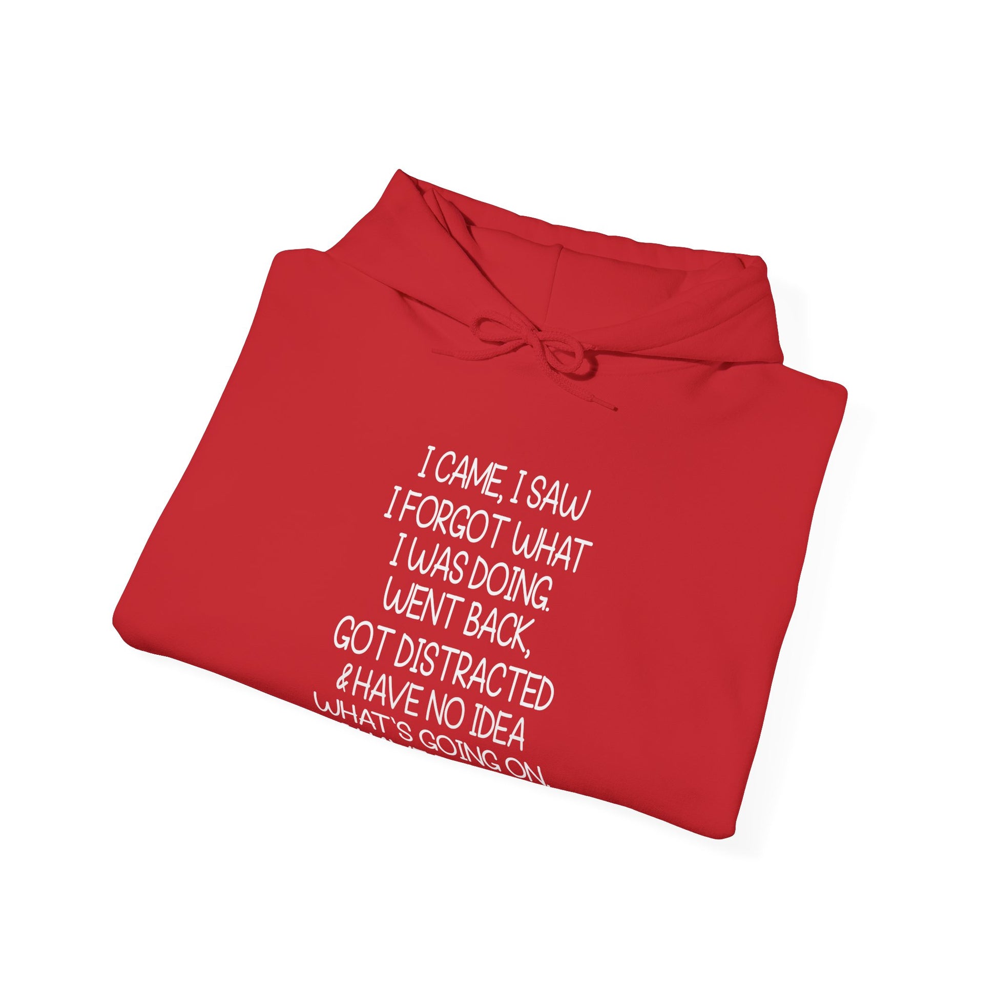 Hoodie I CAME I SAW I FORGOT Hoodie – Funny ADHD Hoodie for Adults