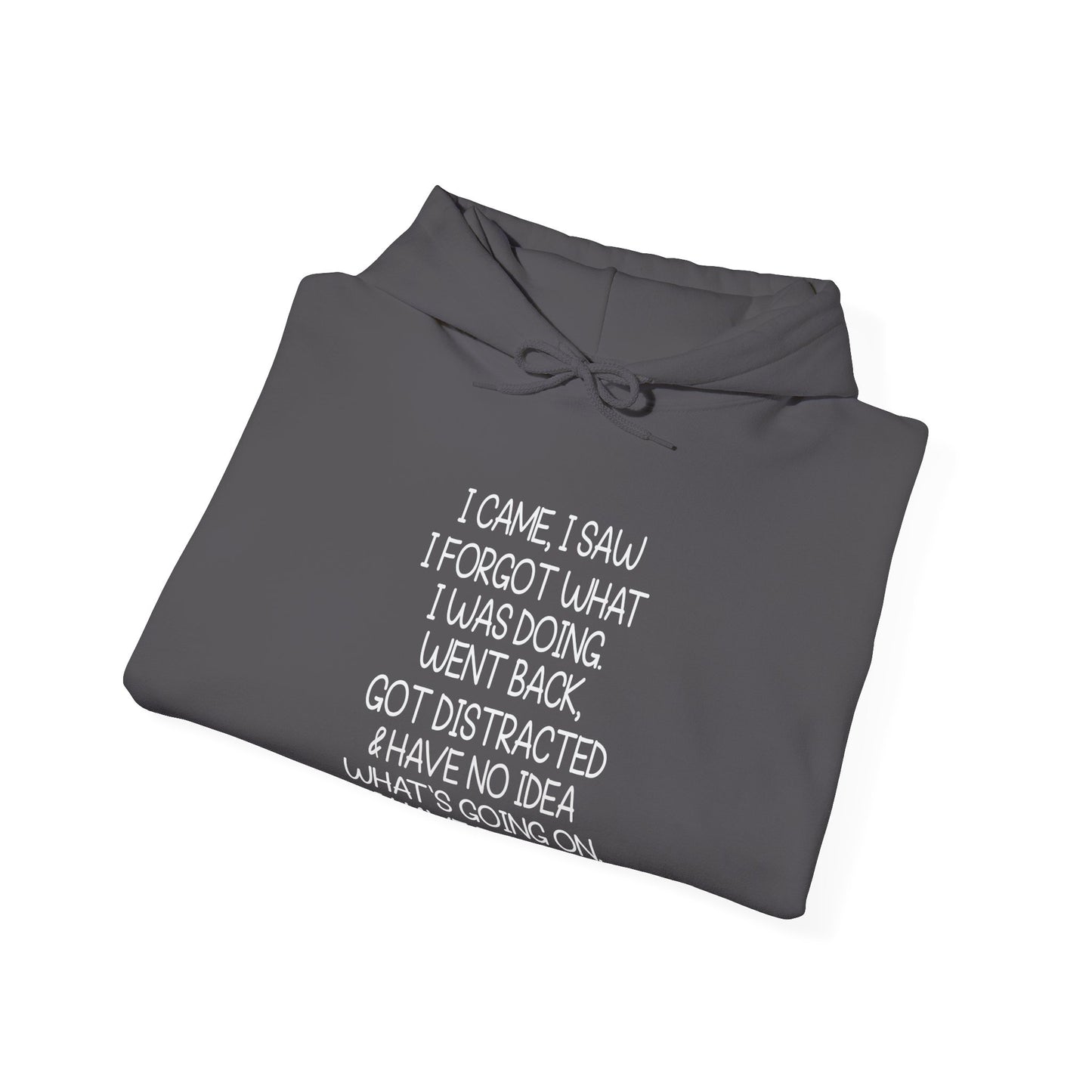 Hoodie I CAME I SAW I FORGOT Hoodie – Funny ADHD Hoodie for Adults