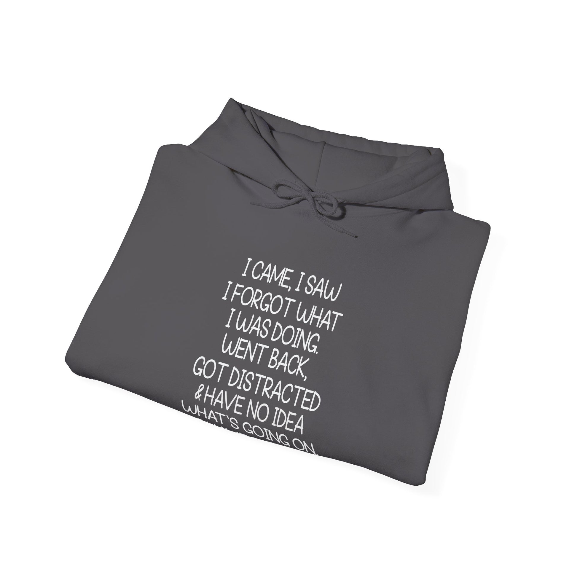 Hoodie I CAME I SAW I FORGOT Hoodie – Funny ADHD Hoodie for Adults