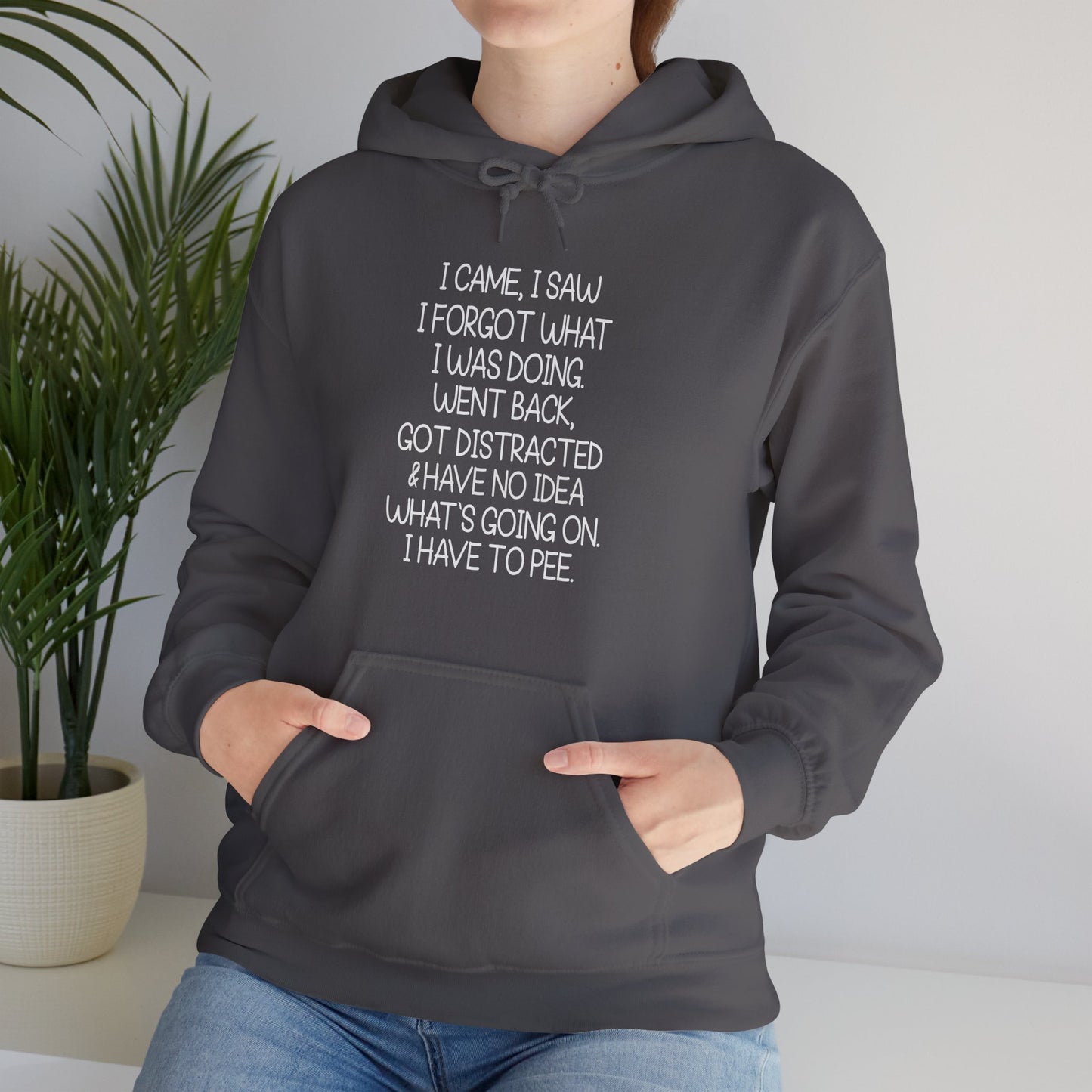 Hoodie I CAME I SAW I FORGOT Hoodie – Funny ADHD Hoodie for Adults