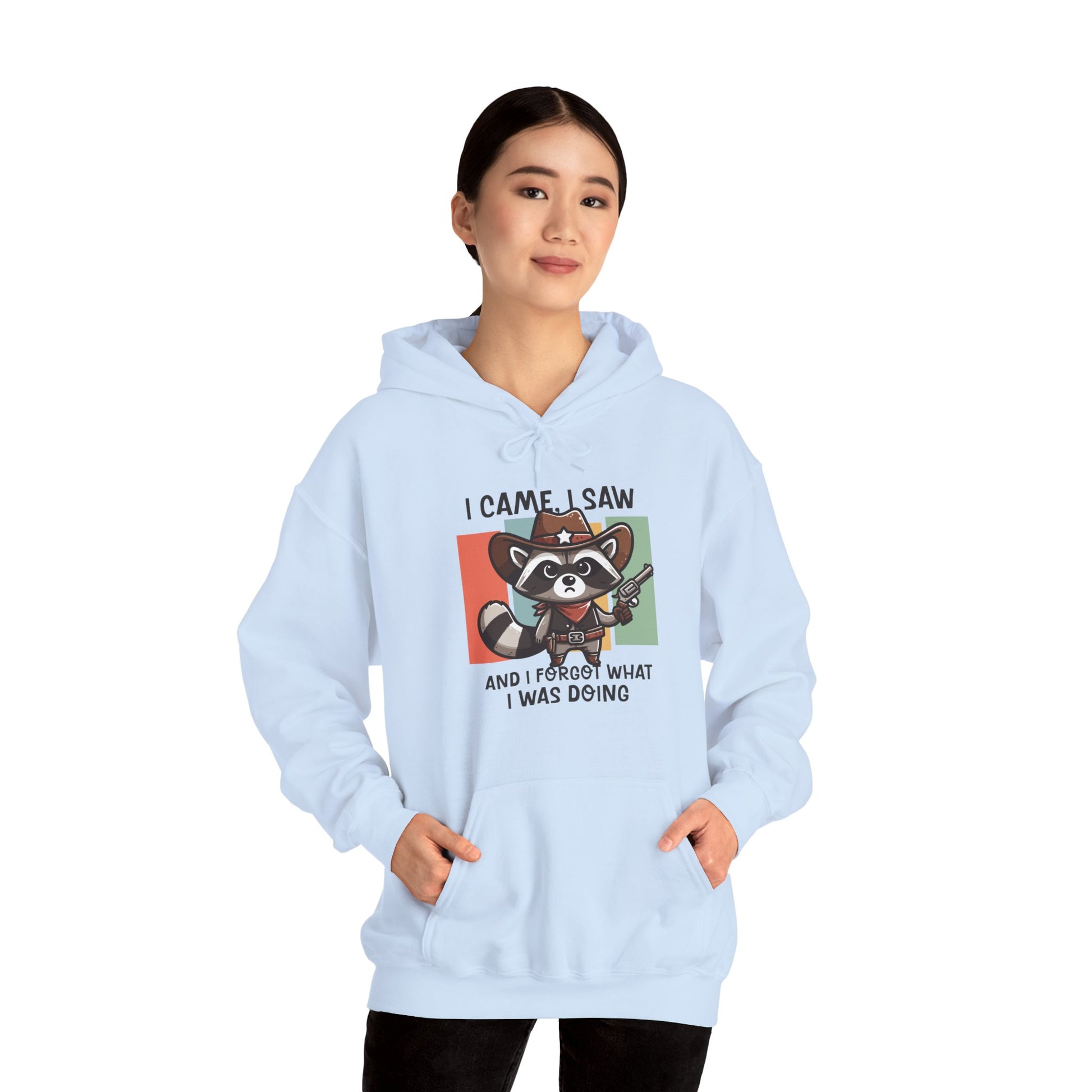 Hoodie I Came I Saw And I Forgot Hoodie – Funny ADHD Raccoon Hoodie
