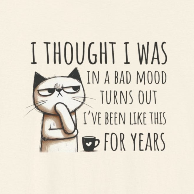 T-Shirt I Thought I Was In a Bad Mood T-Shirt – Grumpy Cat Humor Tee