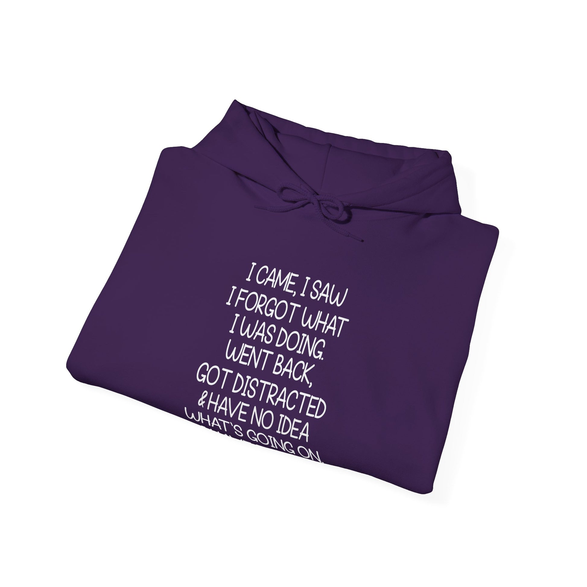 Hoodie I CAME I SAW I FORGOT Hoodie – Funny ADHD Hoodie for Adults