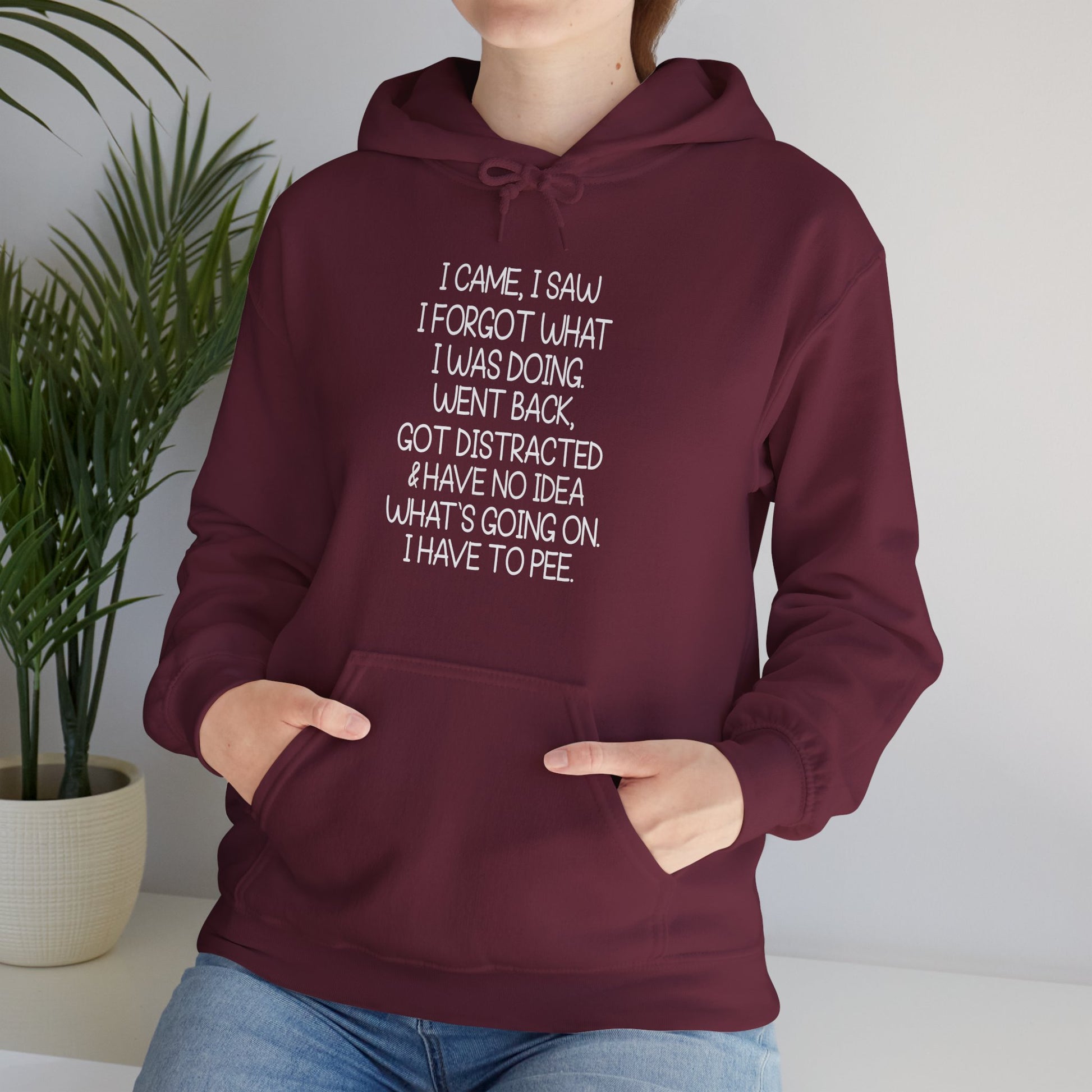 Hoodie I CAME I SAW I FORGOT Hoodie – Funny ADHD Hoodie for Adults