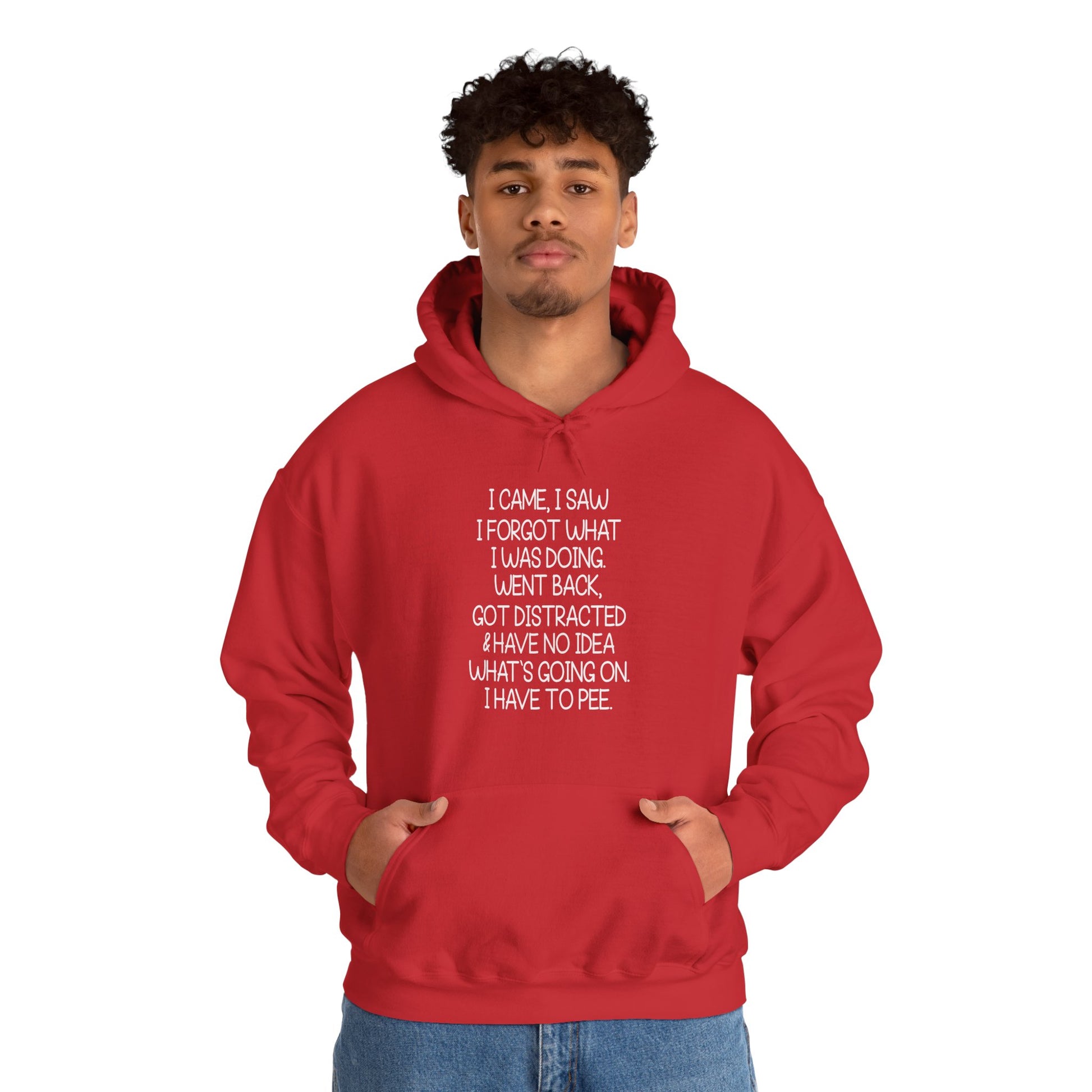 Hoodie I CAME I SAW I FORGOT Hoodie – Funny ADHD Hoodie for Adults
