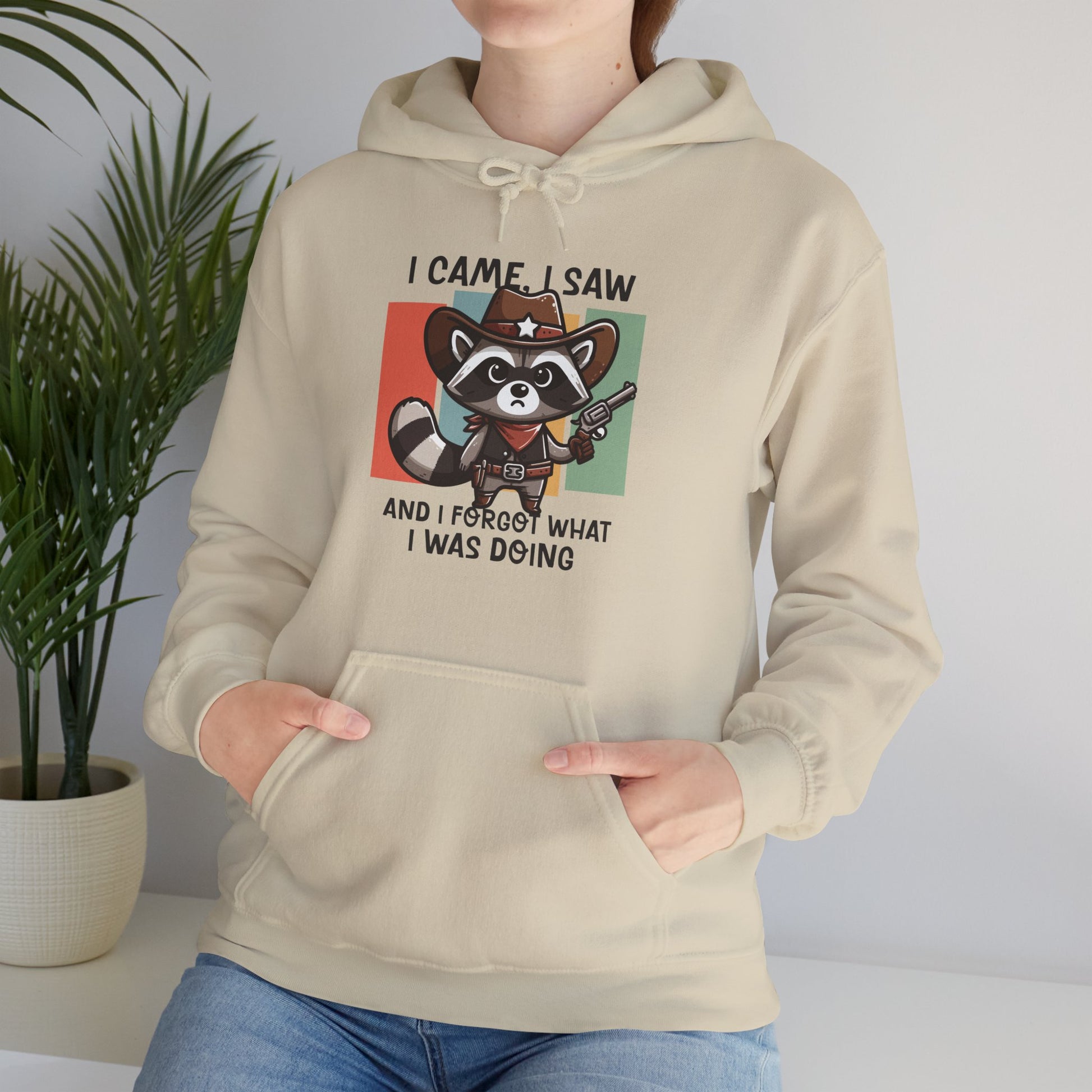 Hoodie I Came I Saw And I Forgot Hoodie – Funny ADHD Raccoon Hoodie