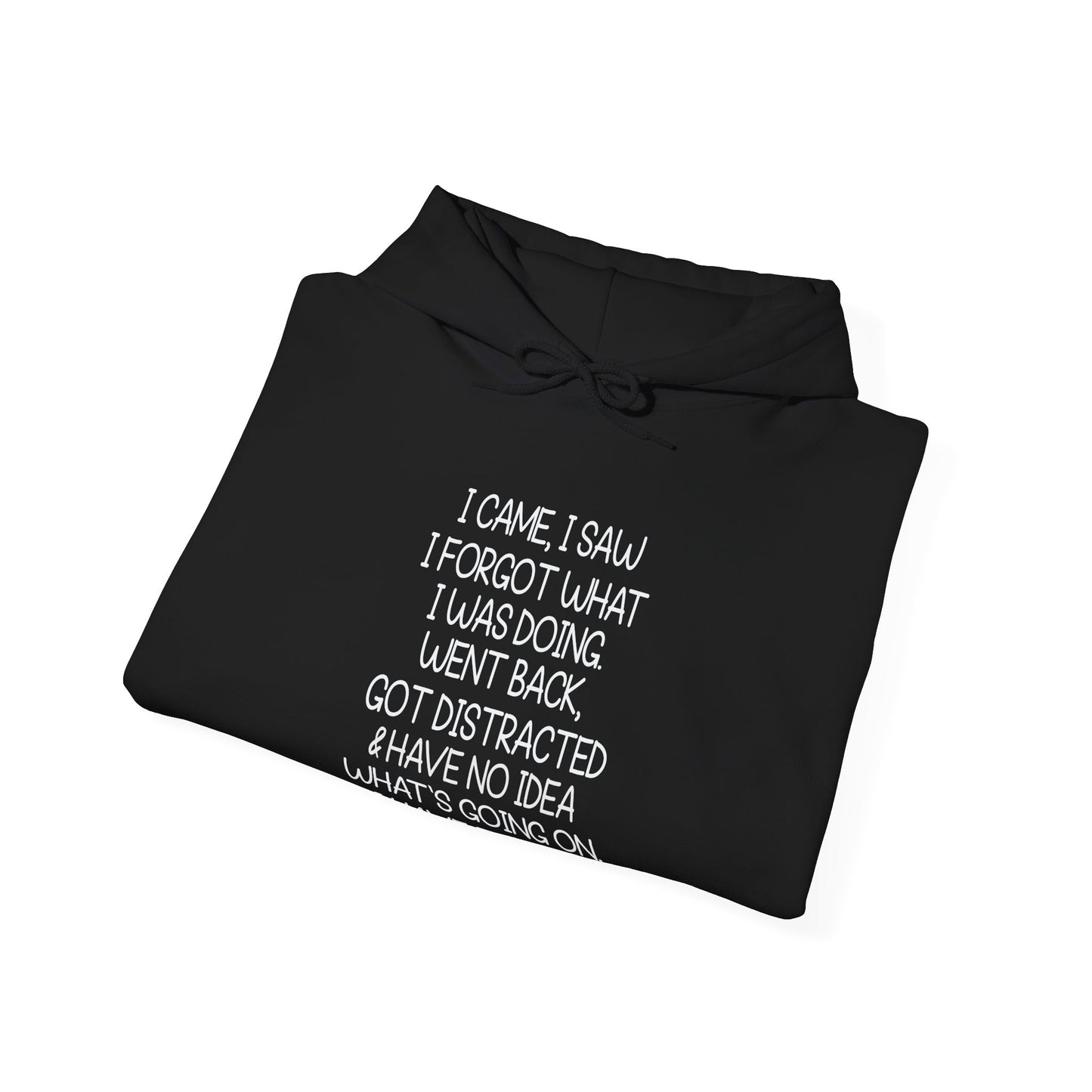 Hoodie I CAME I SAW I FORGOT Hoodie – Funny ADHD Hoodie for Adults