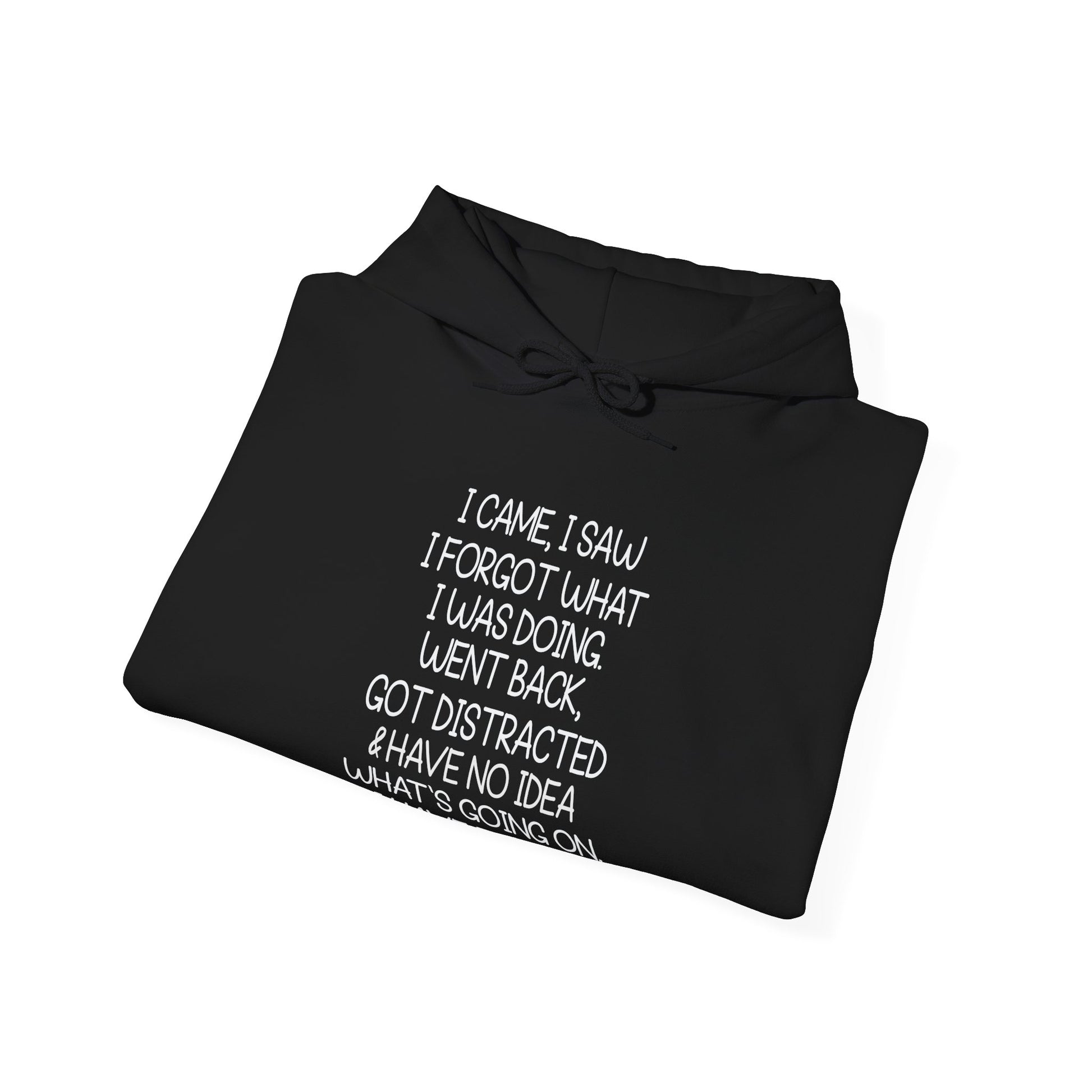 Hoodie I CAME I SAW I FORGOT Hoodie – Funny ADHD Hoodie for Adults