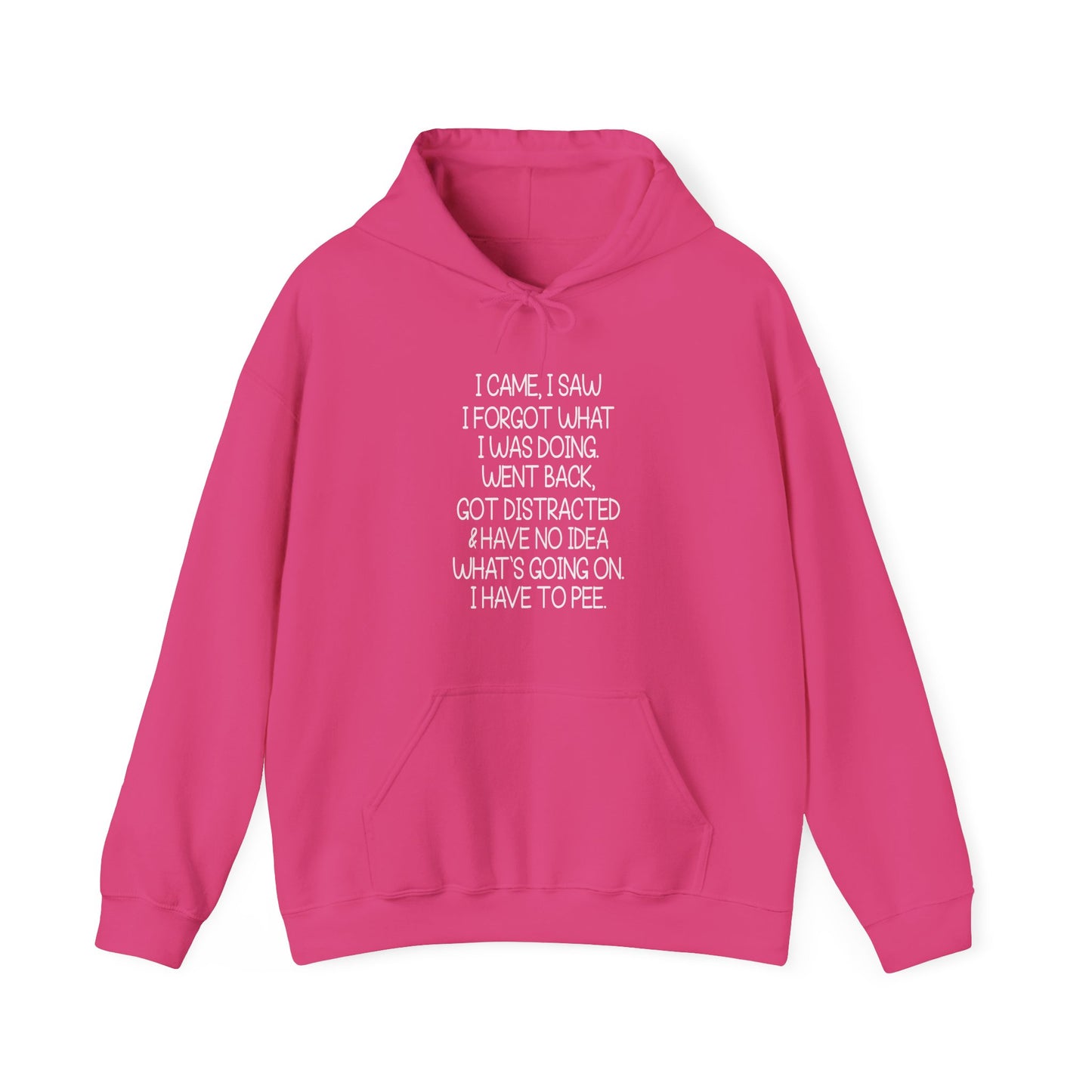 Hoodie I CAME I SAW I FORGOT Hoodie – Funny ADHD Hoodie for Adults