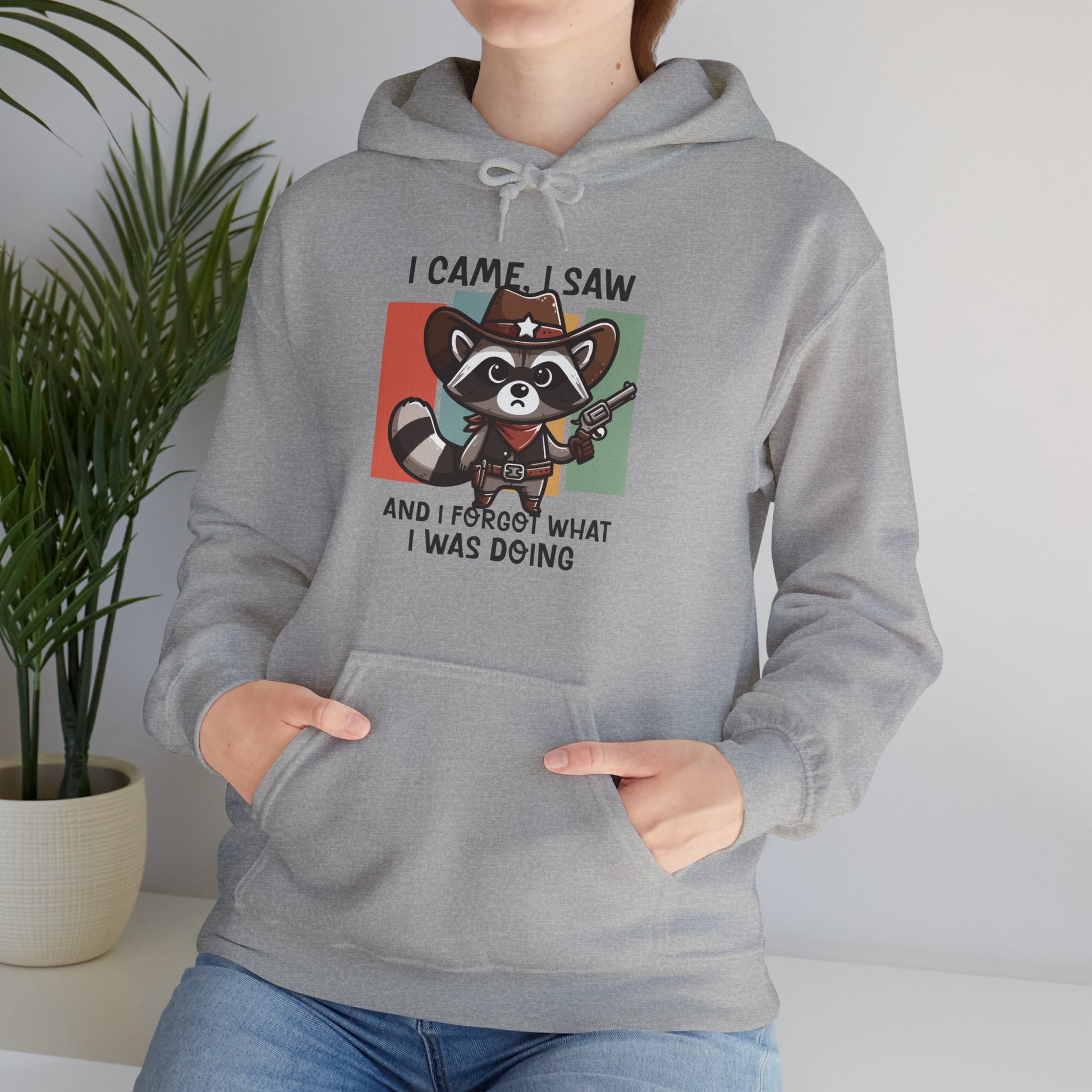 Hoodie I Came I Saw And I Forgot Hoodie – Funny ADHD Raccoon Hoodie