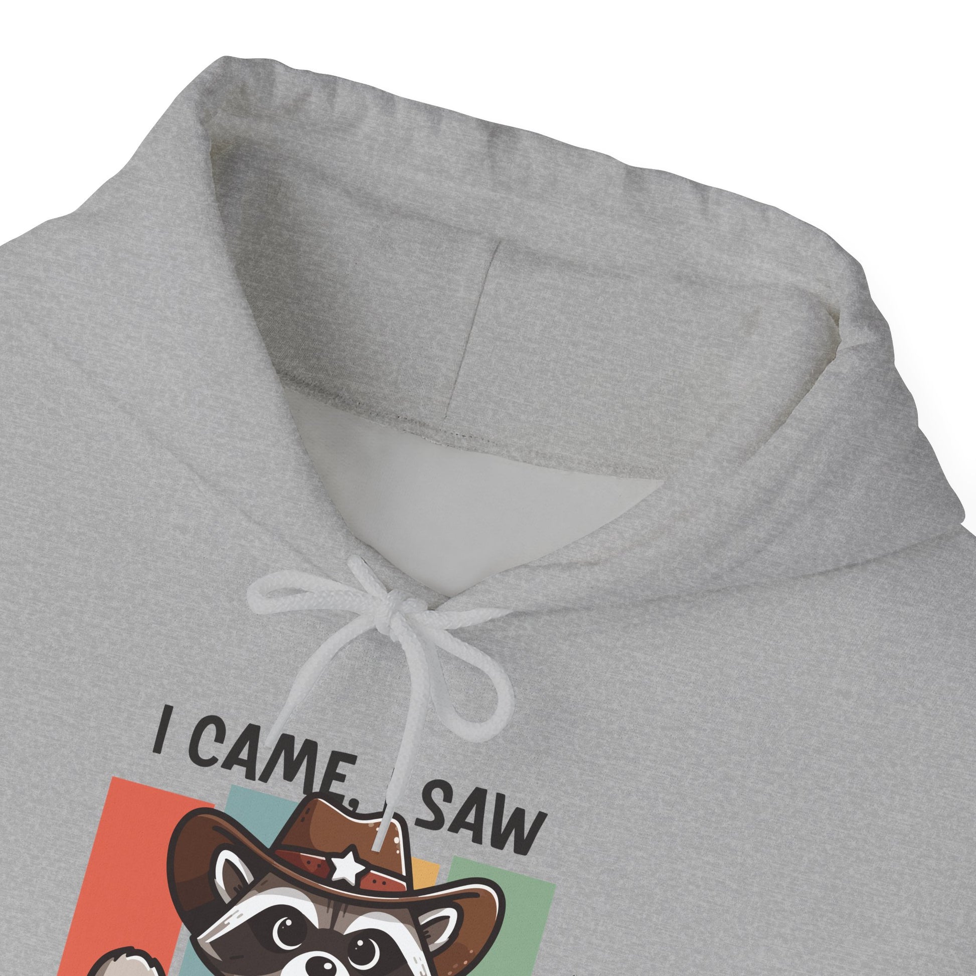 Hoodie I Came I Saw And I Forgot Hoodie – Funny ADHD Raccoon Hoodie