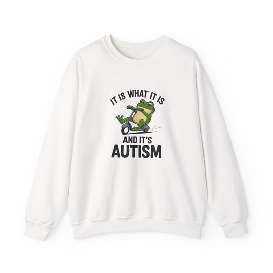 Sweatshirt IT IS WHAT IT IS AND IT'S AUTISM Funny Scooter Autism Sweatshirt