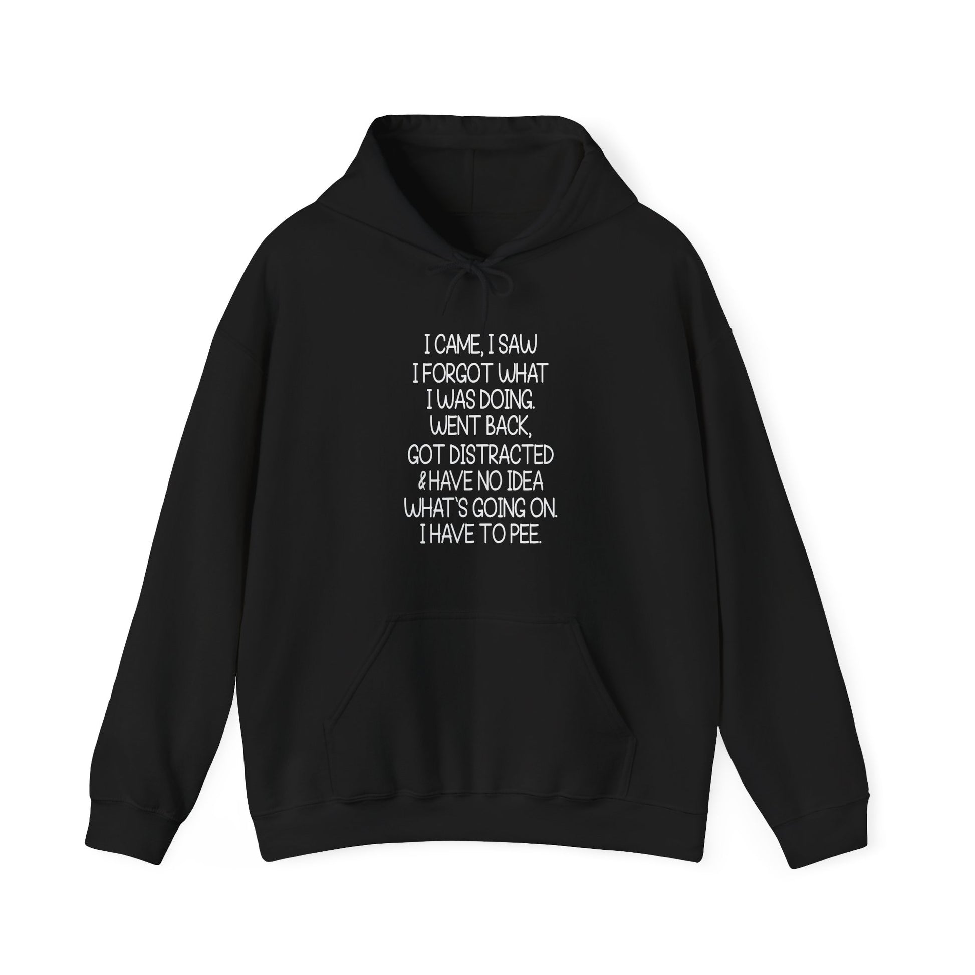 Hoodie I CAME I SAW I FORGOT Hoodie – Funny ADHD Hoodie for Adults