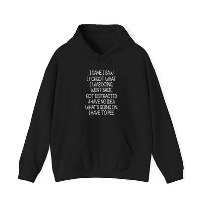 Hoodie I CAME I SAW I FORGOT Hoodie – Funny ADHD Hoodie for Adults
