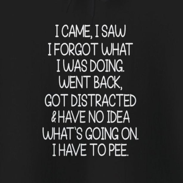 Hoodie I CAME I SAW I FORGOT Hoodie – Funny ADHD Hoodie for Adults
