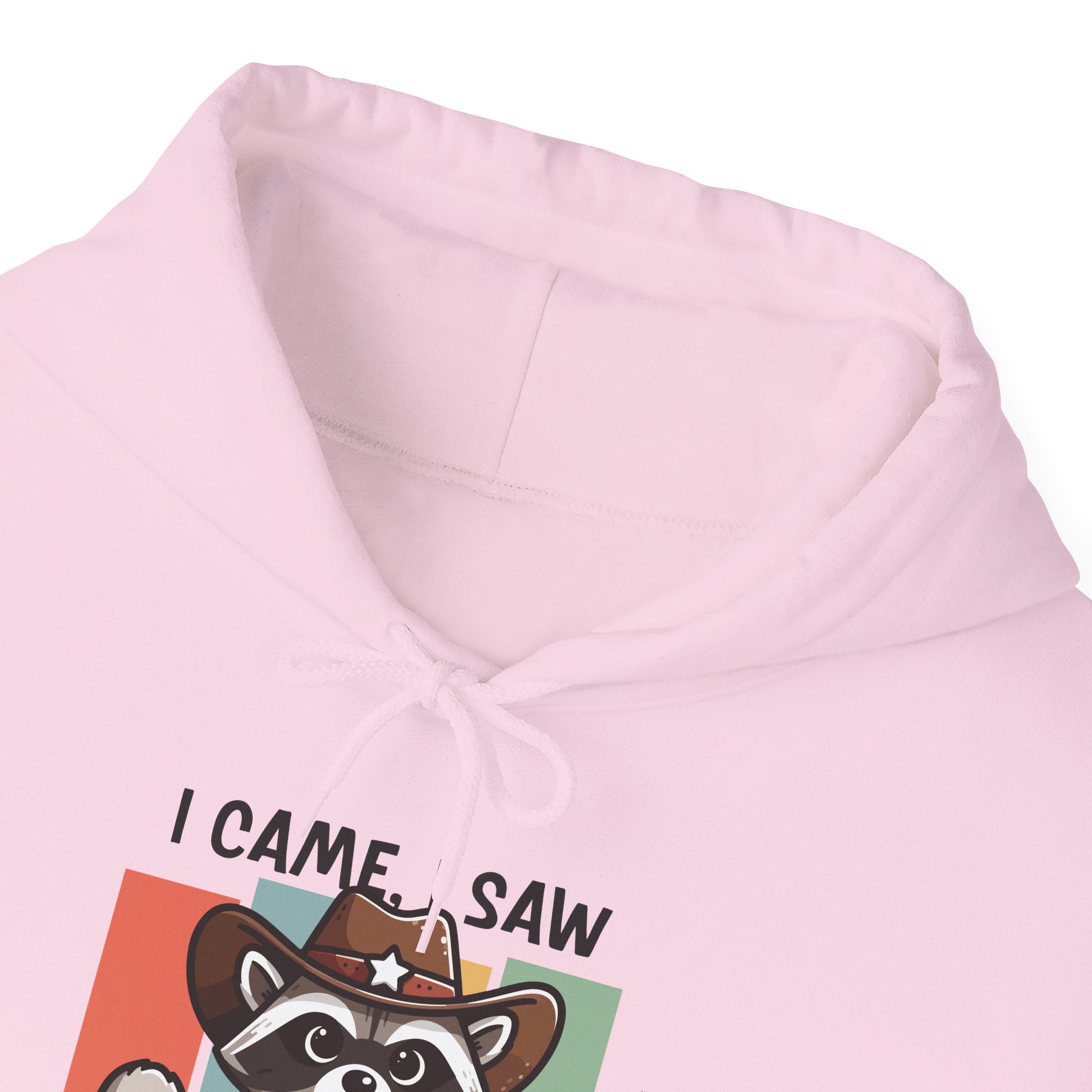 Hoodie I Came I Saw And I Forgot Hoodie – Funny ADHD Raccoon Hoodie