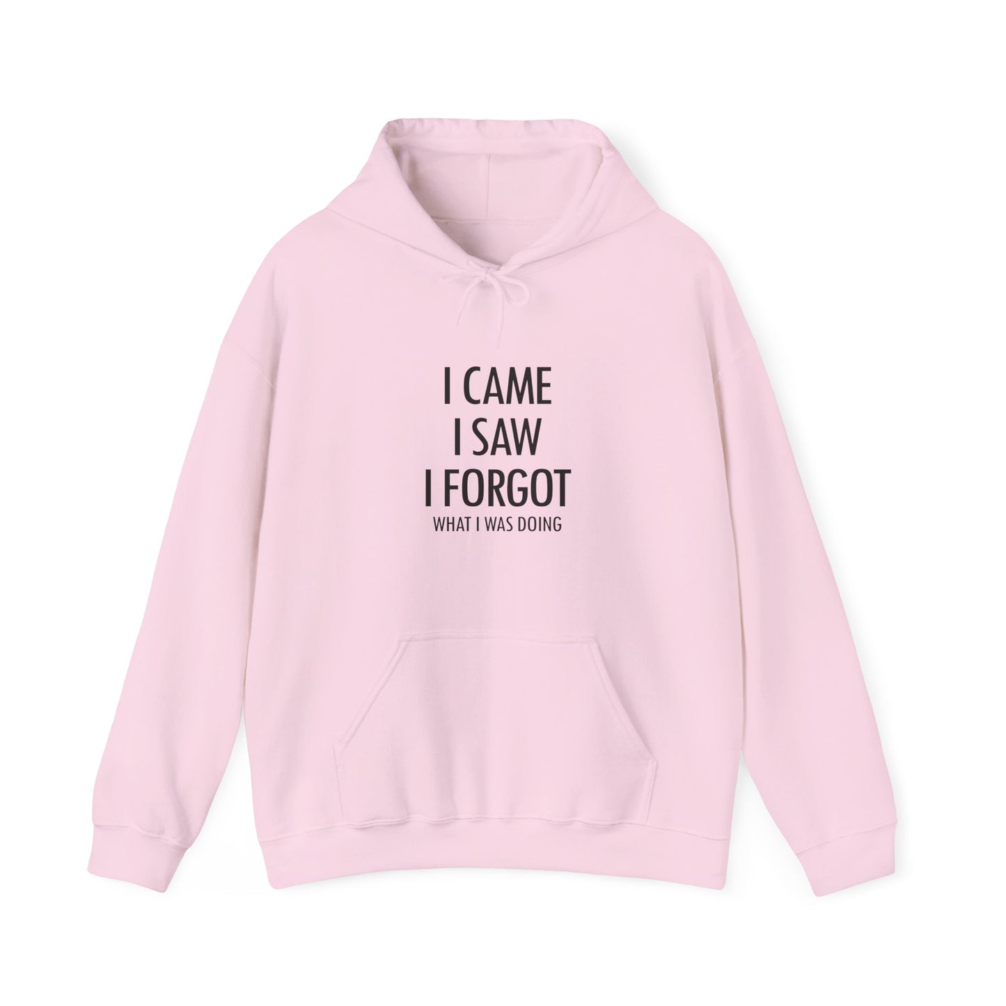 Hoodie I Came I Saw I Forgot Hoodie – Funny ADHD Gift Hoodie
