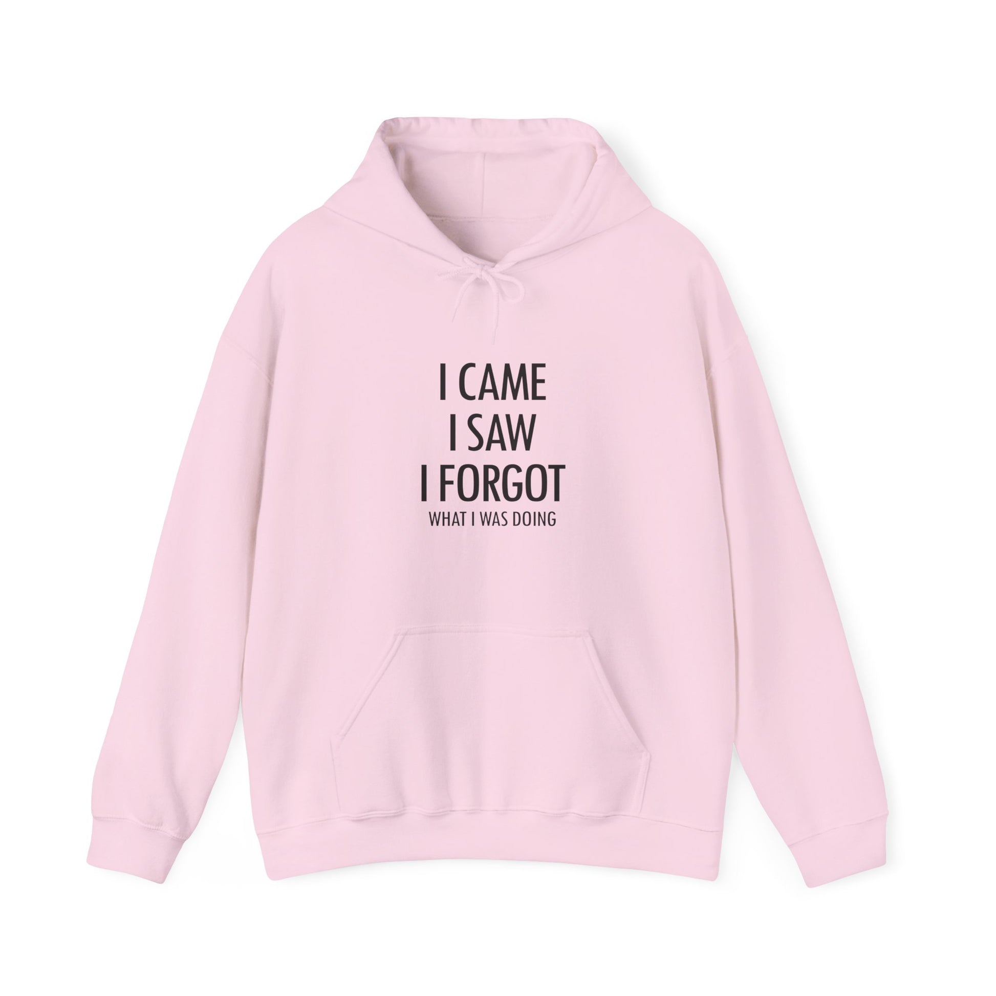 Hoodie I Came I Saw I Forgot Hoodie – Funny ADHD Gift Hoodie