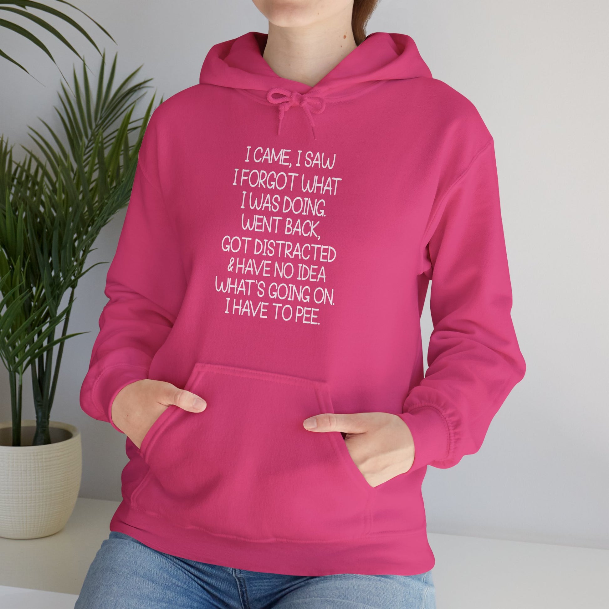 Hoodie I CAME I SAW I FORGOT Hoodie – Funny ADHD Hoodie for Adults