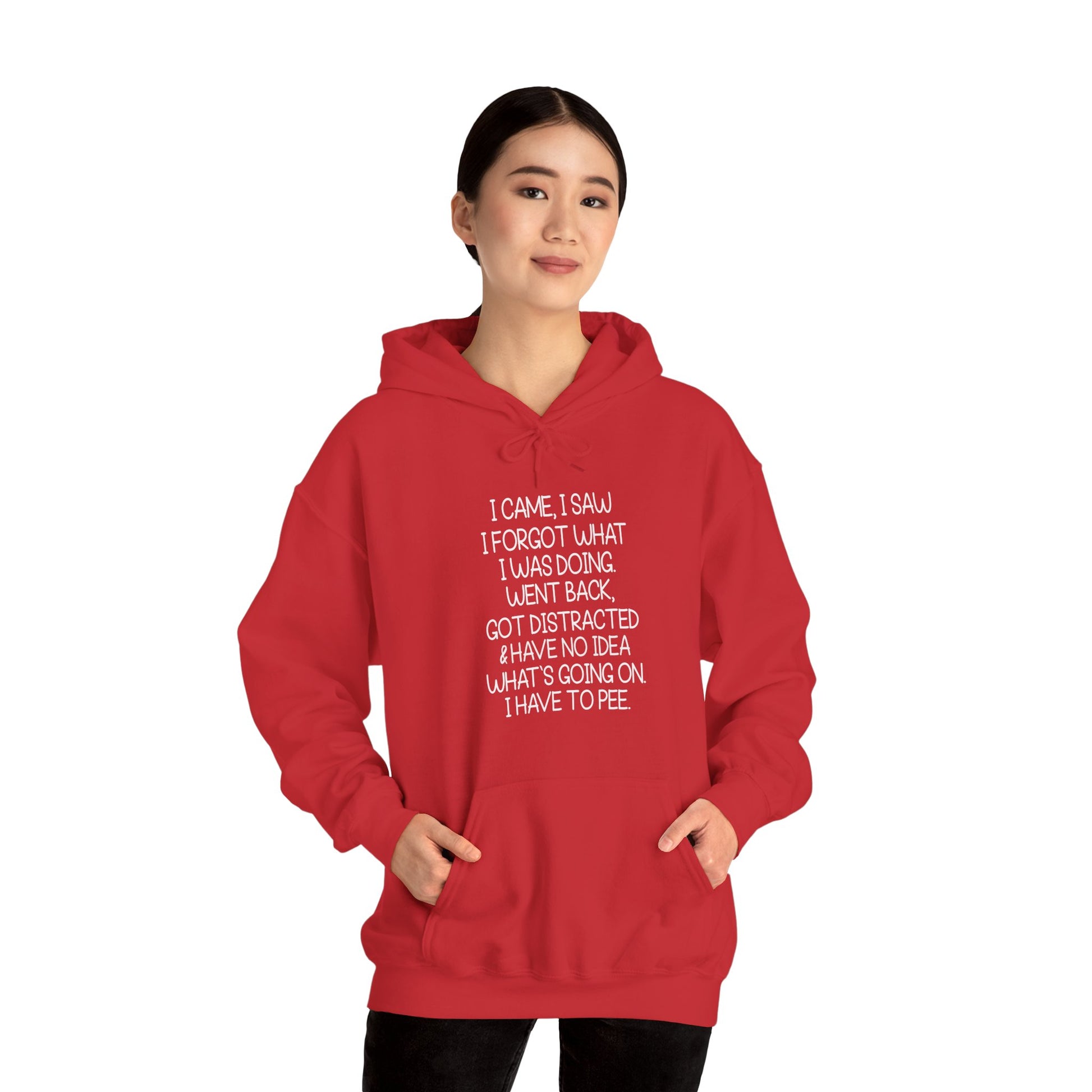 Hoodie I CAME I SAW I FORGOT Hoodie – Funny ADHD Hoodie for Adults