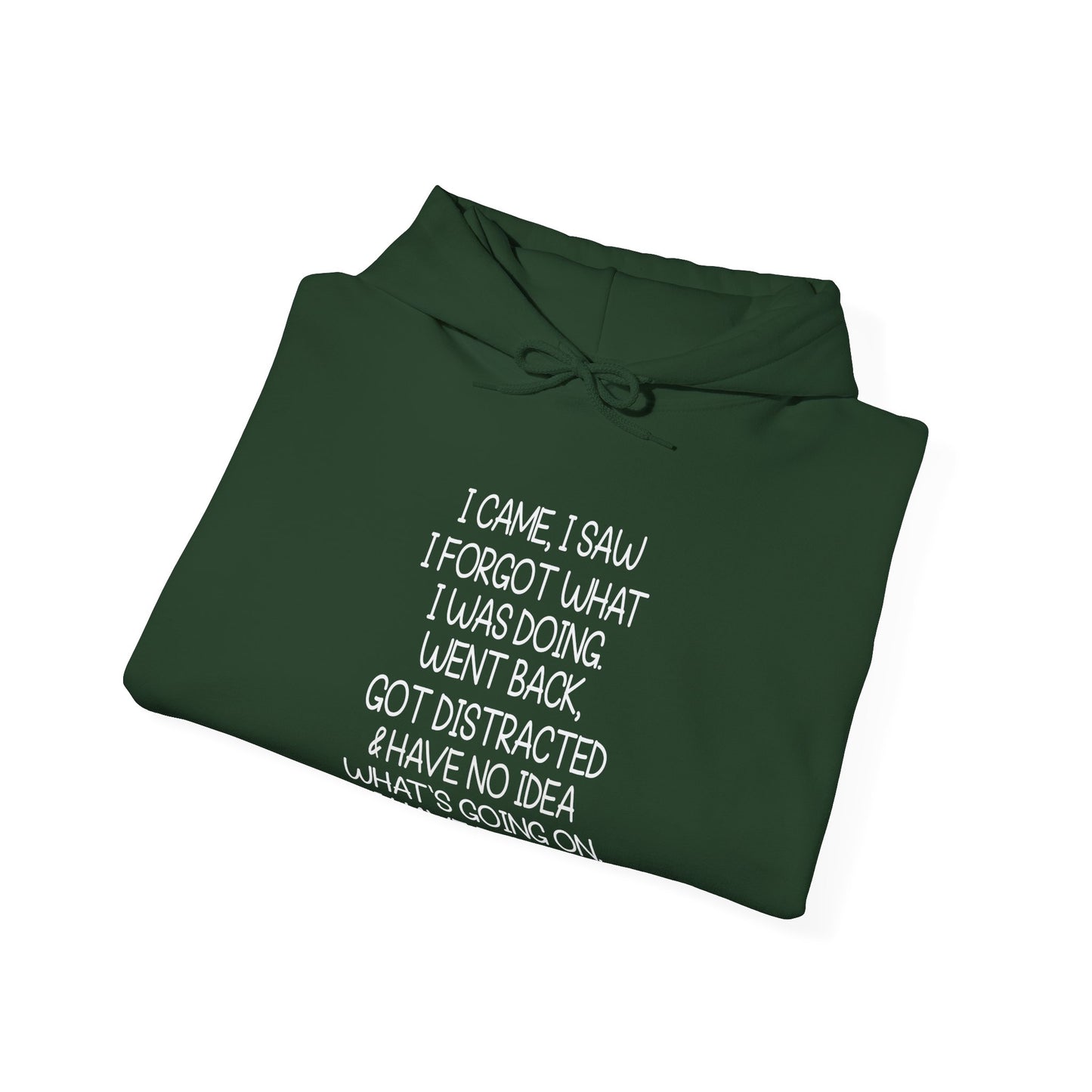 Hoodie I CAME I SAW I FORGOT Hoodie – Funny ADHD Hoodie for Adults