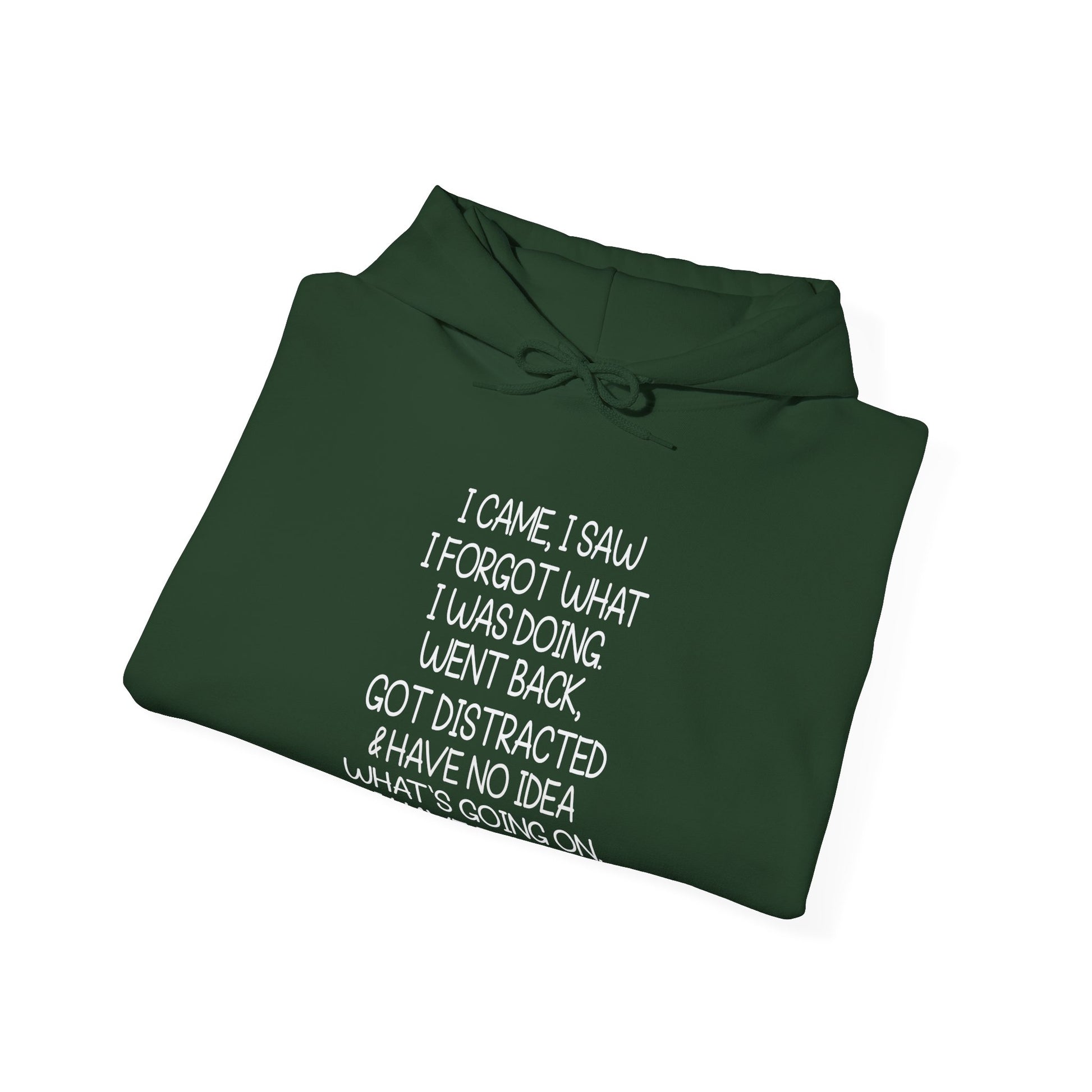 Hoodie I CAME I SAW I FORGOT Hoodie – Funny ADHD Hoodie for Adults