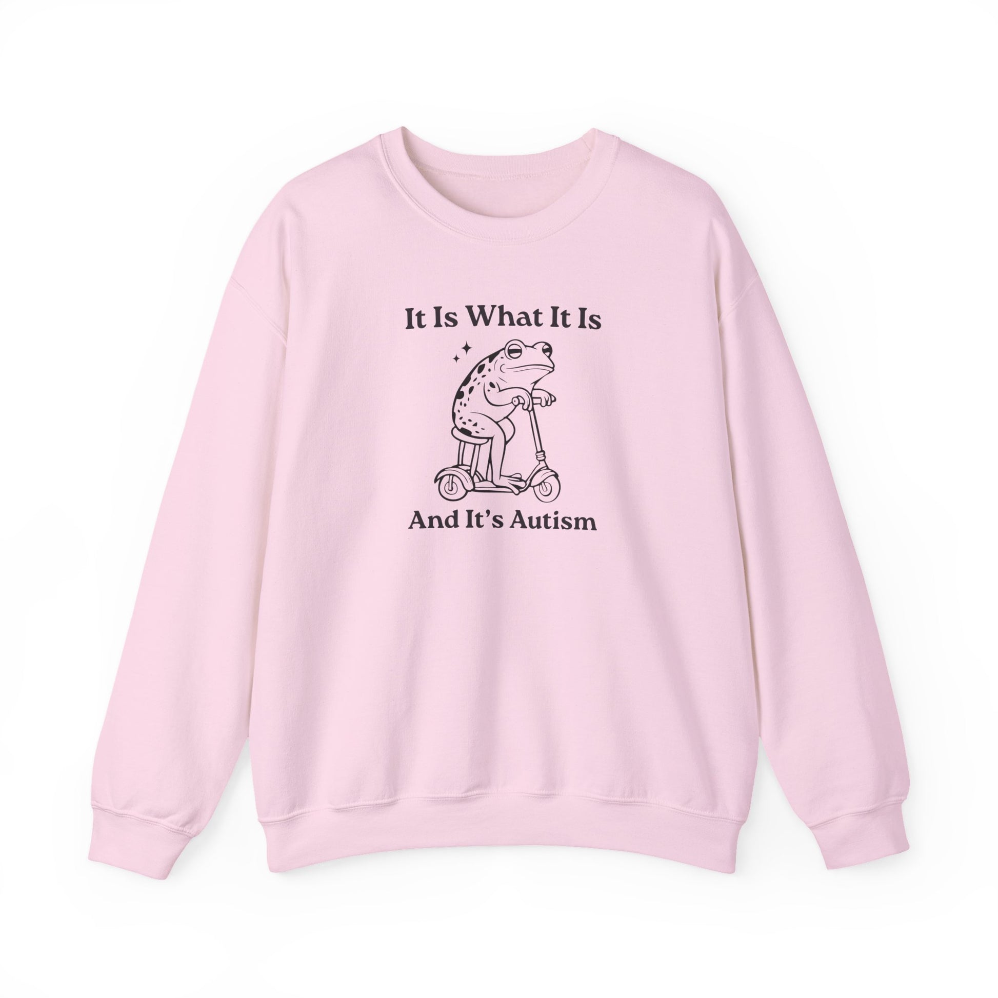 Sweatshirt It Is What It Is And It’s Autism Funny Sweatshirt for Adults & Teens