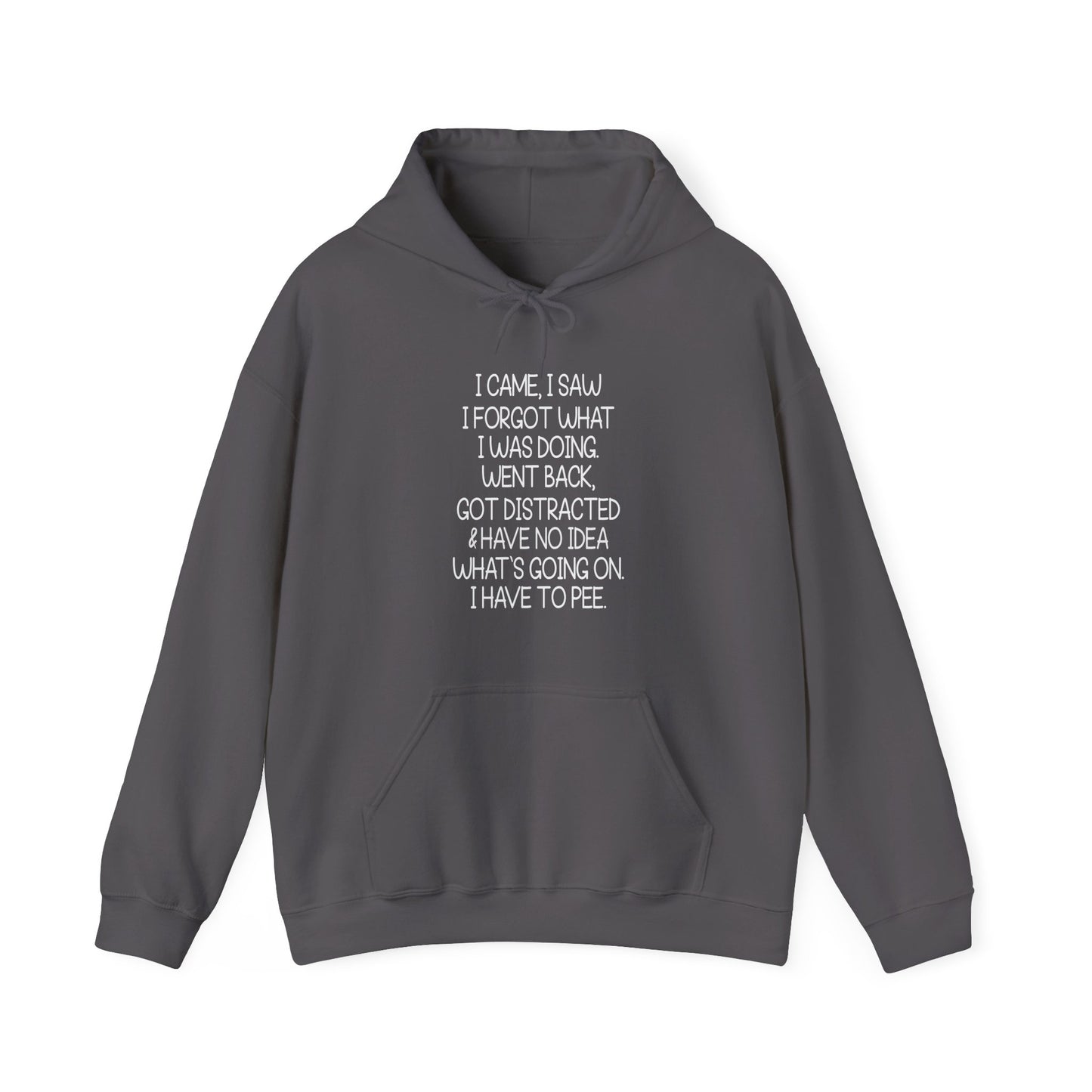 Hoodie I CAME I SAW I FORGOT Hoodie – Funny ADHD Hoodie for Adults