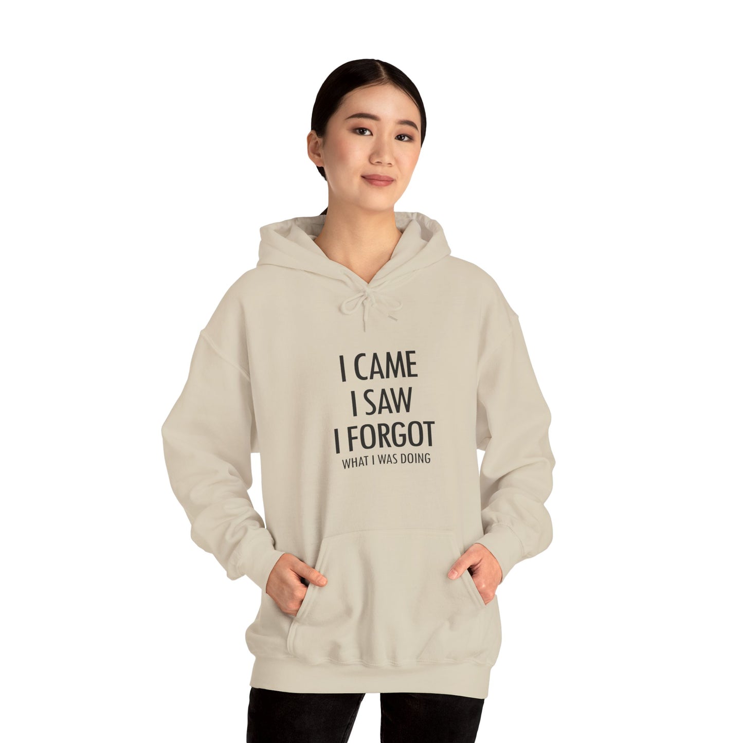 Hoodie I Came I Saw I Forgot Hoodie – Funny ADHD Gift Hoodie