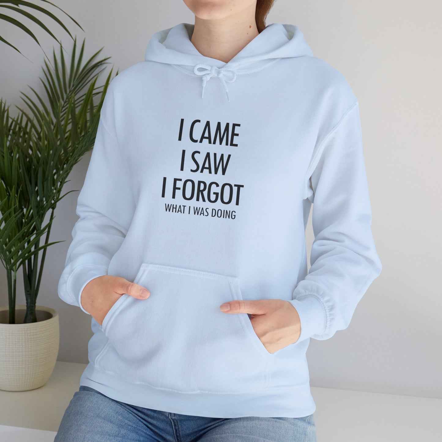 Hoodie I Came I Saw I Forgot Hoodie – Funny ADHD Gift Hoodie