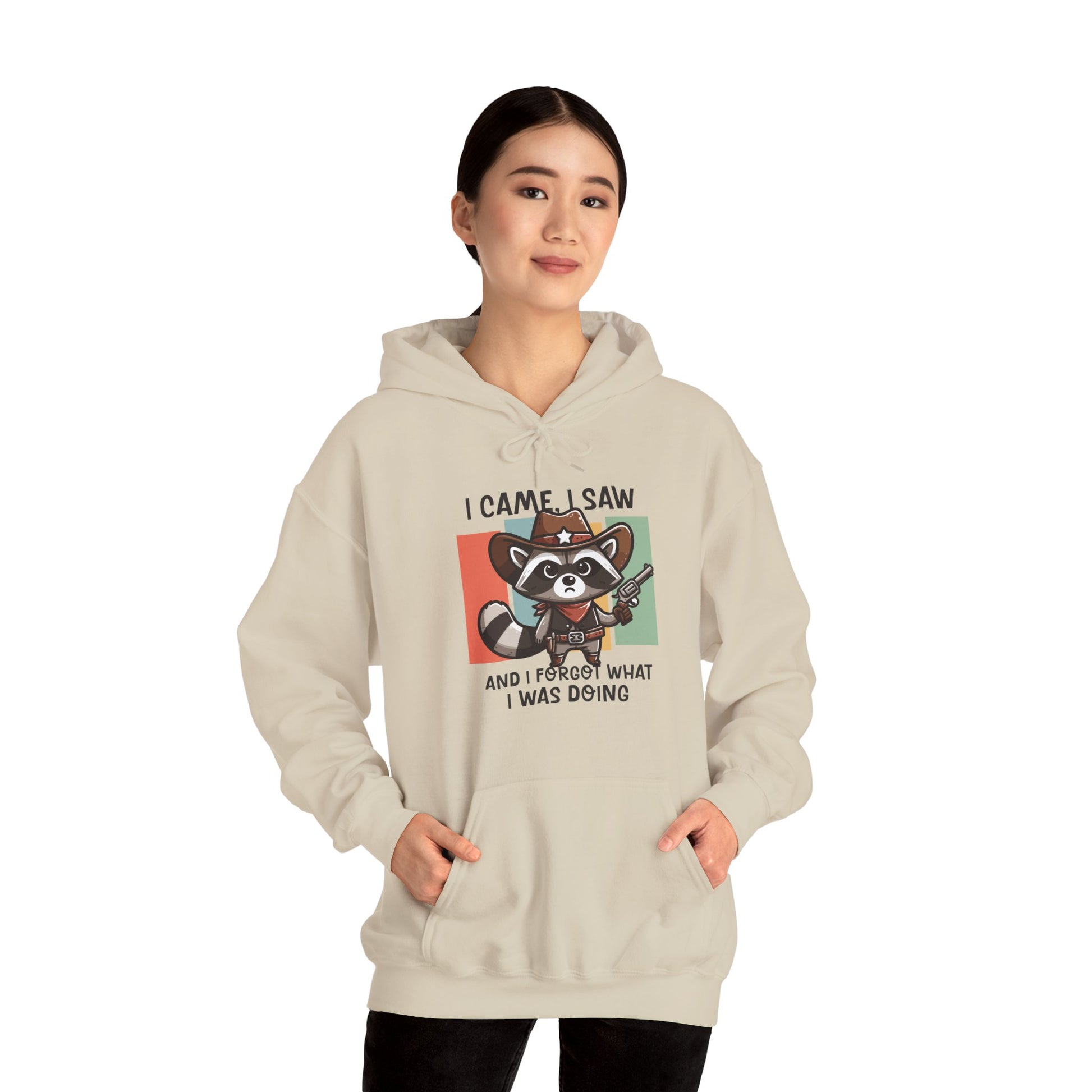 Hoodie I Came I Saw And I Forgot Hoodie – Funny ADHD Raccoon Hoodie