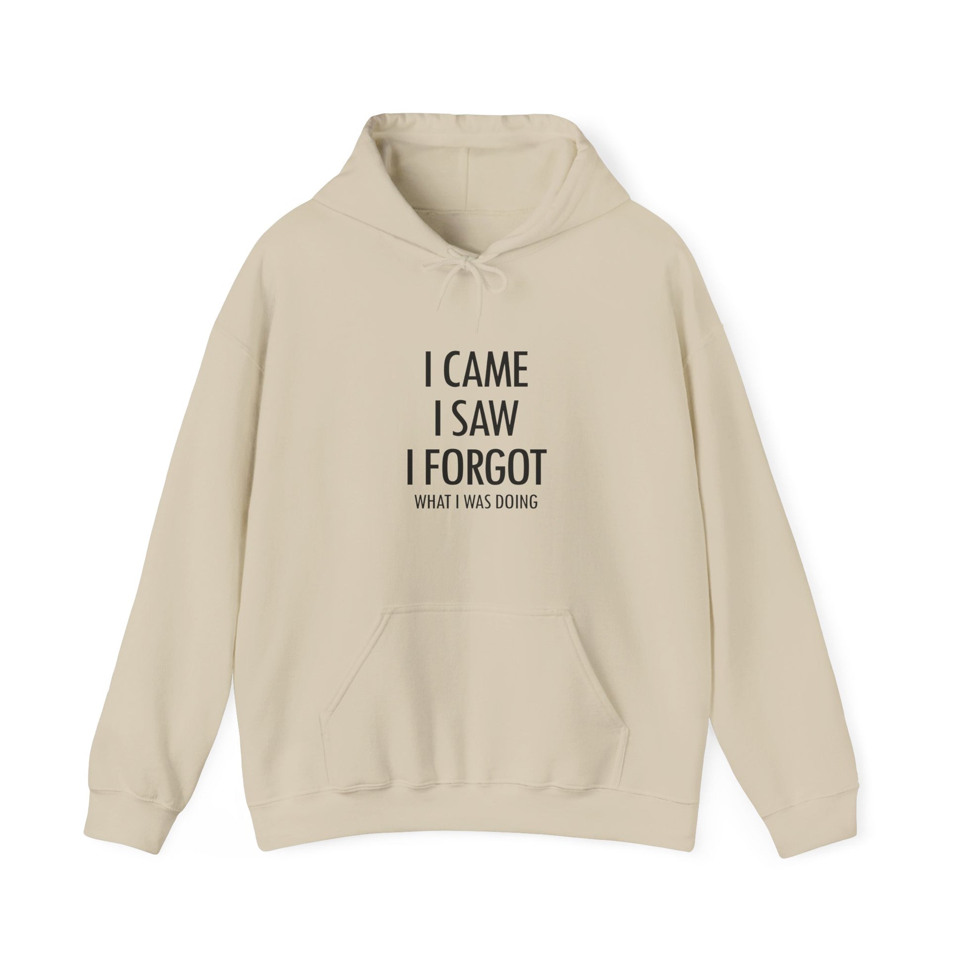 Hoodie I Came I Saw I Forgot Hoodie – Funny ADHD Gift Hoodie