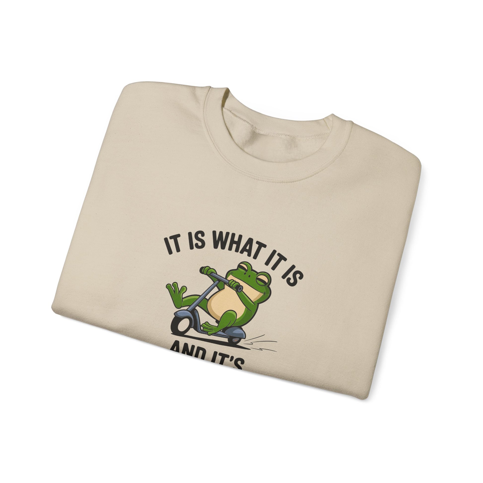 Sweatshirt IT IS WHAT IT IS AND IT'S AUTISM Funny Scooter Autism Sweatshirt