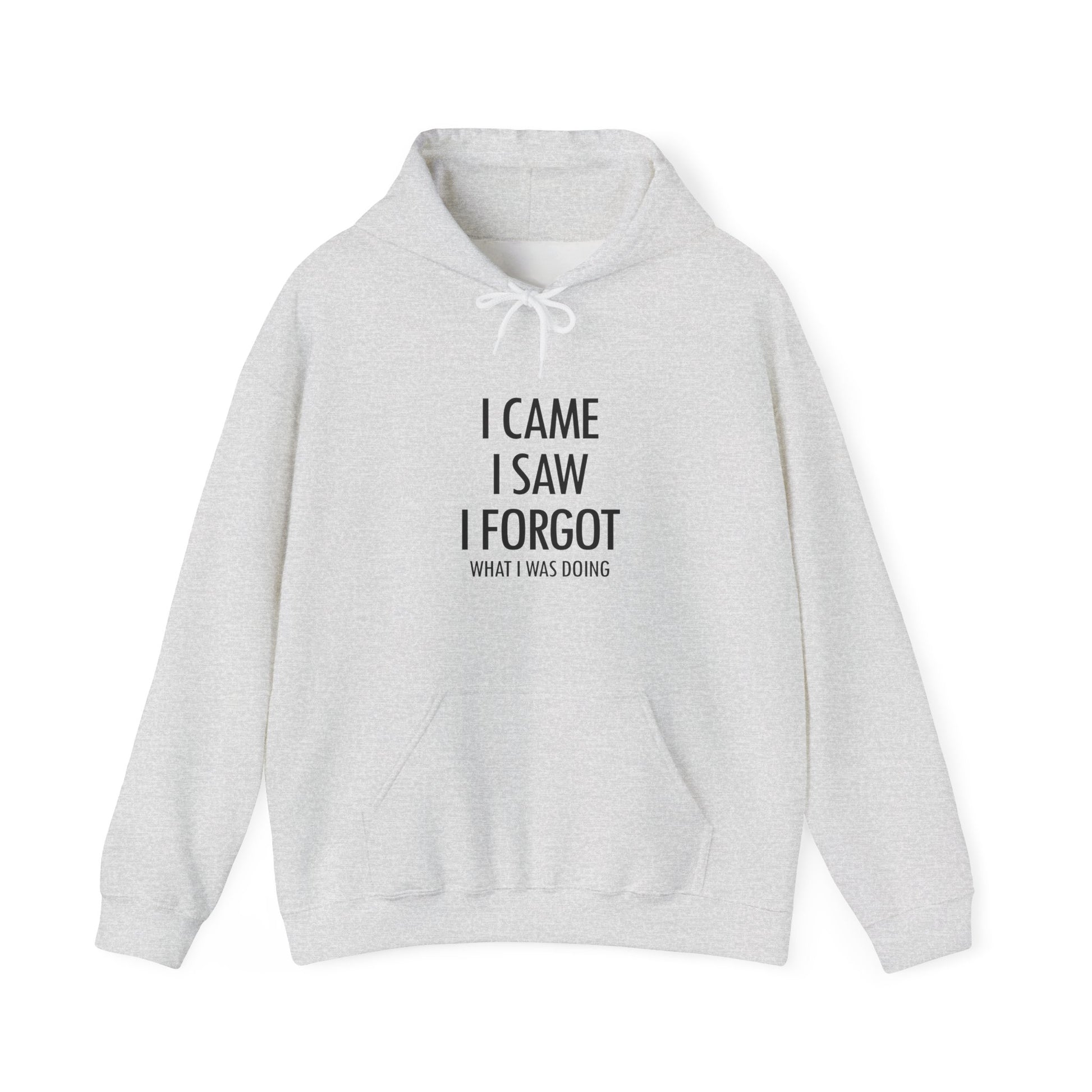 Hoodie I Came I Saw I Forgot Hoodie – Funny ADHD Gift Hoodie
