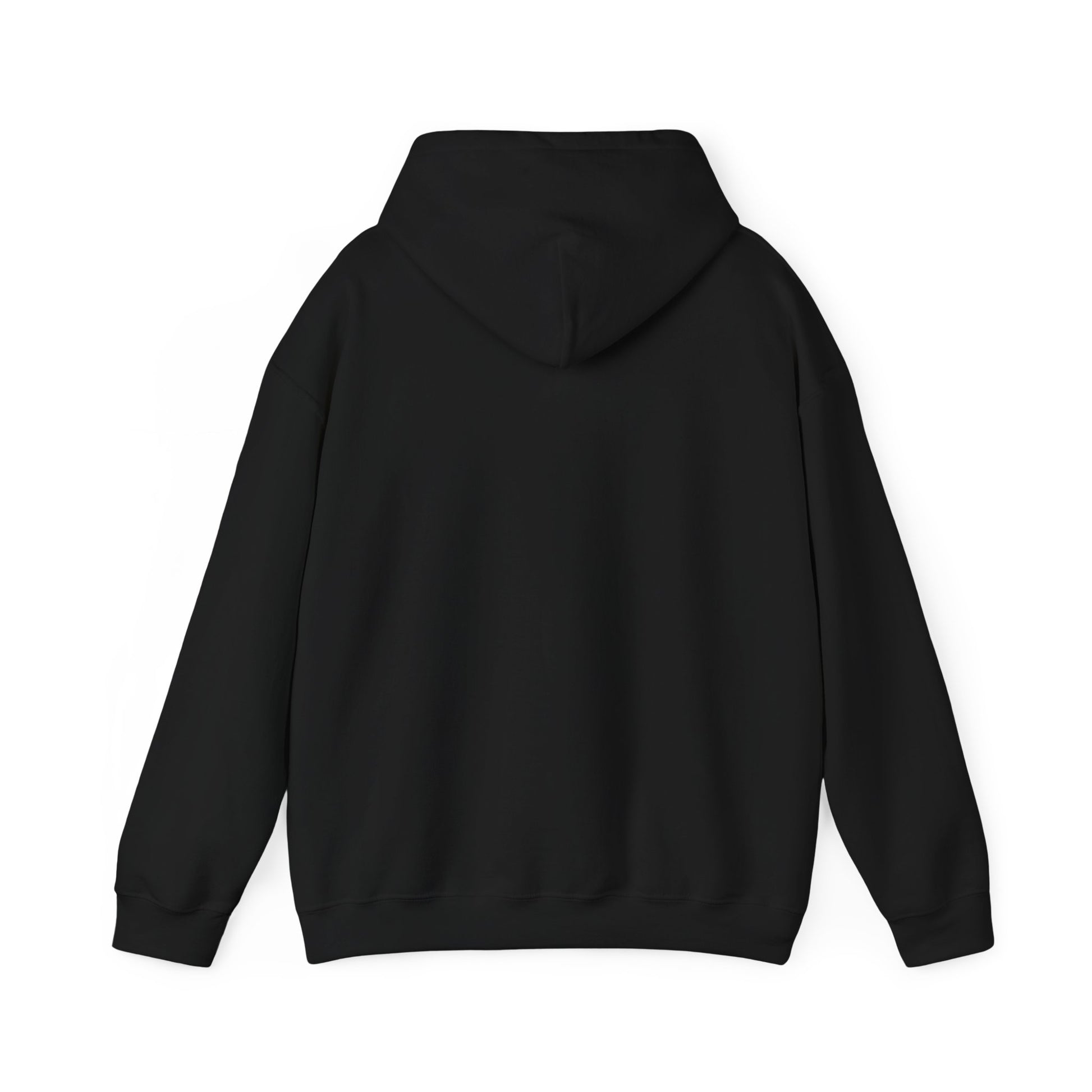 Hoodie I Have Anxiety Hoodie – Funny Opossum Hoodie for Women
