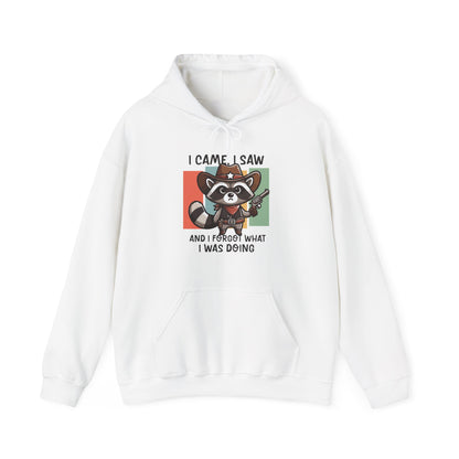 Hoodie I Came I Saw And I Forgot Hoodie – Funny ADHD Raccoon Hoodie
