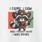 Hoodie I Came I Saw And I Forgot Hoodie – Funny ADHD Raccoon Hoodie