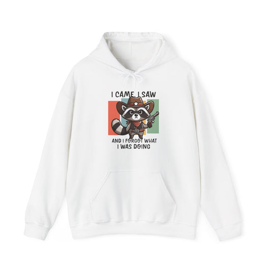 Hoodie I Came I Saw And I Forgot Hoodie – Funny ADHD Raccoon Hoodie
