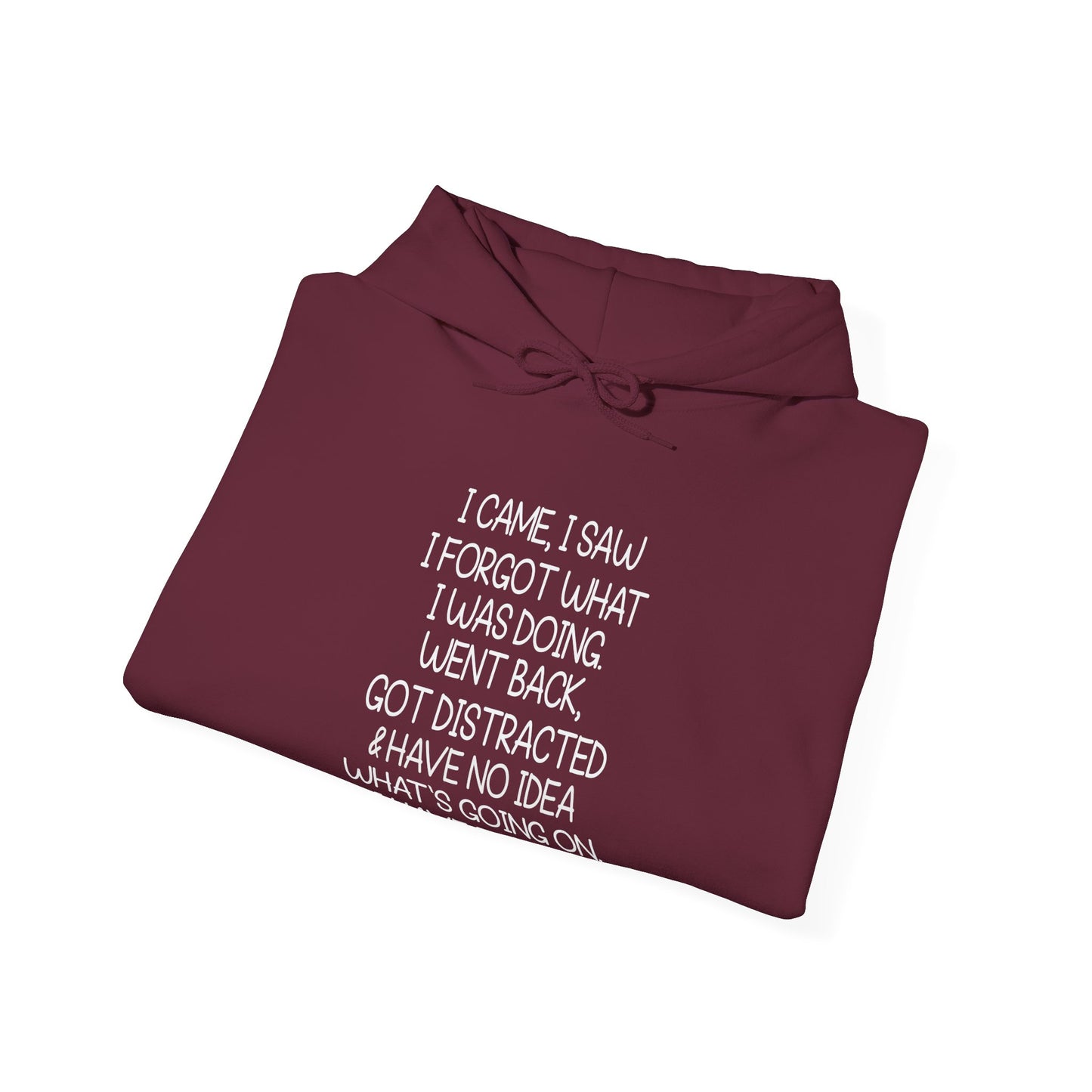 Hoodie I CAME I SAW I FORGOT Hoodie – Funny ADHD Hoodie for Adults