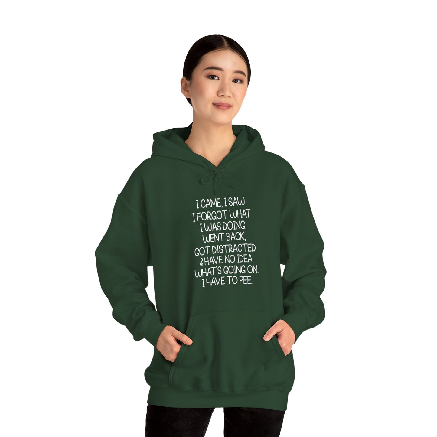 Hoodie I CAME I SAW I FORGOT Hoodie – Funny ADHD Hoodie for Adults