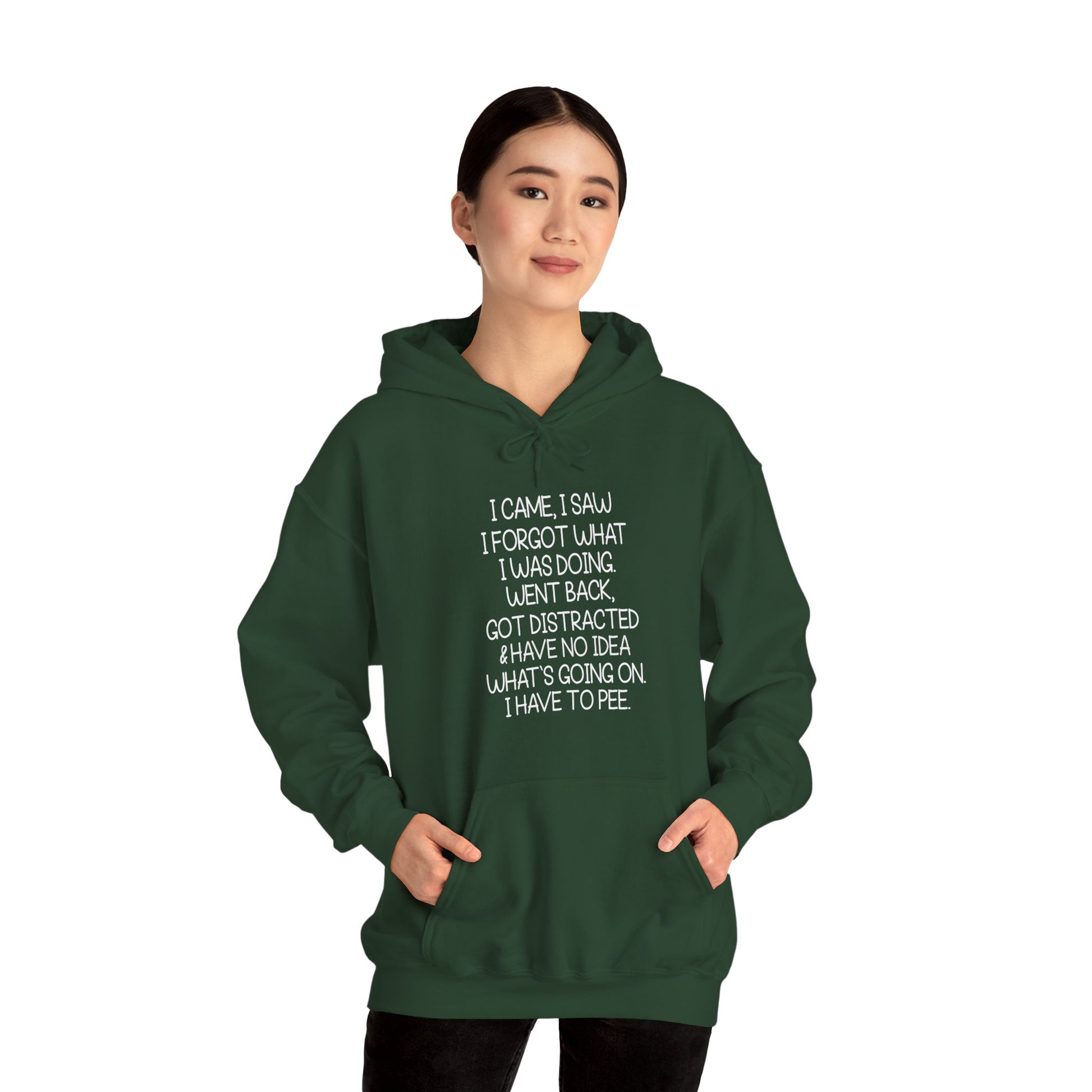 Hoodie I CAME I SAW I FORGOT Hoodie – Funny ADHD Hoodie for Adults