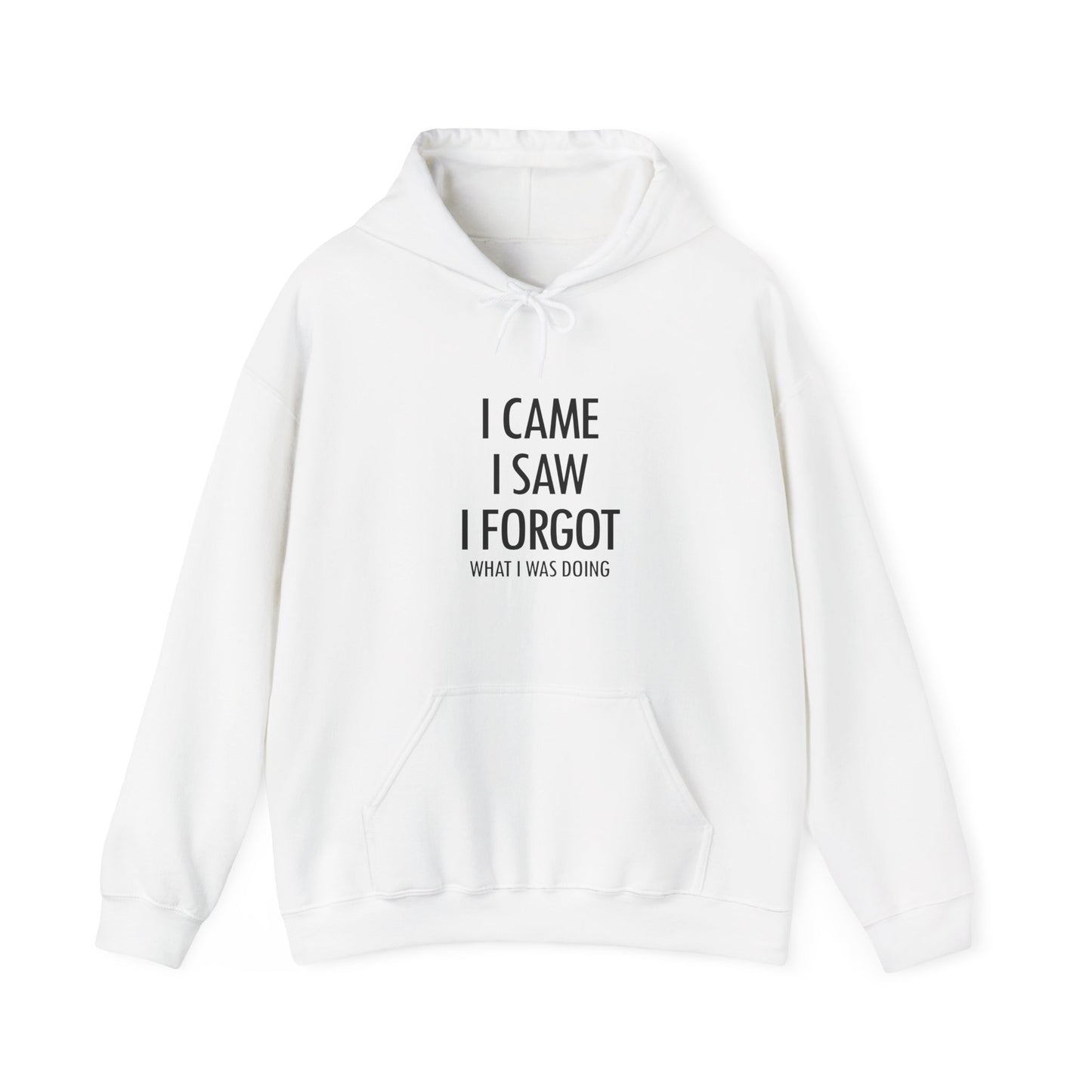 Hoodie I Came I Saw I Forgot Hoodie – Funny ADHD Gift Hoodie