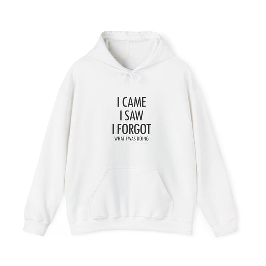 Hoodie I Came I Saw I Forgot Hoodie – Funny ADHD Gift Hoodie