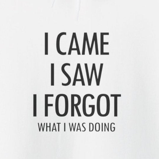 Hoodie I Came I Saw I Forgot Hoodie – Funny ADHD Gift Hoodie